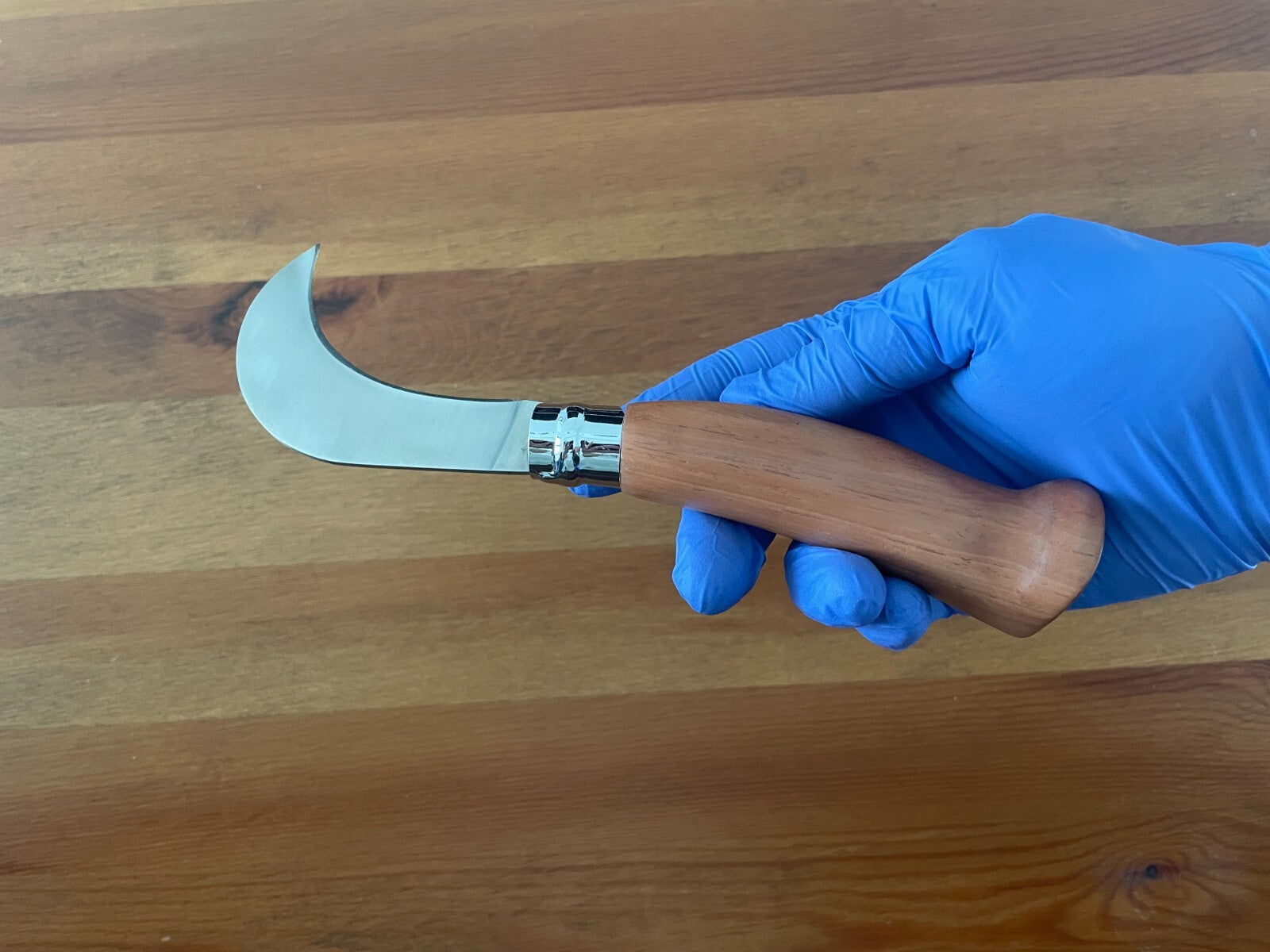 3.3" Hawkbill Tranchete Pocket Knife Extremeña Wood Handle Girolock and Sheath