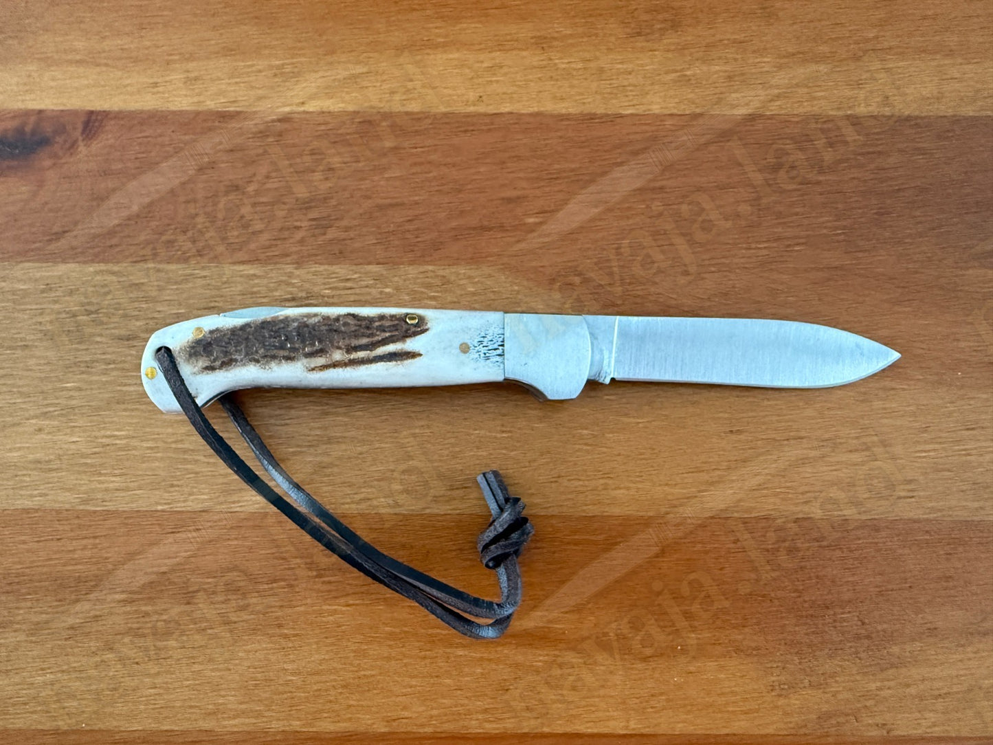 Joker Canguro Folding Knife 🦌 Deer Horn Handle 3.3” MOVA 1.4116 Stainless Steel