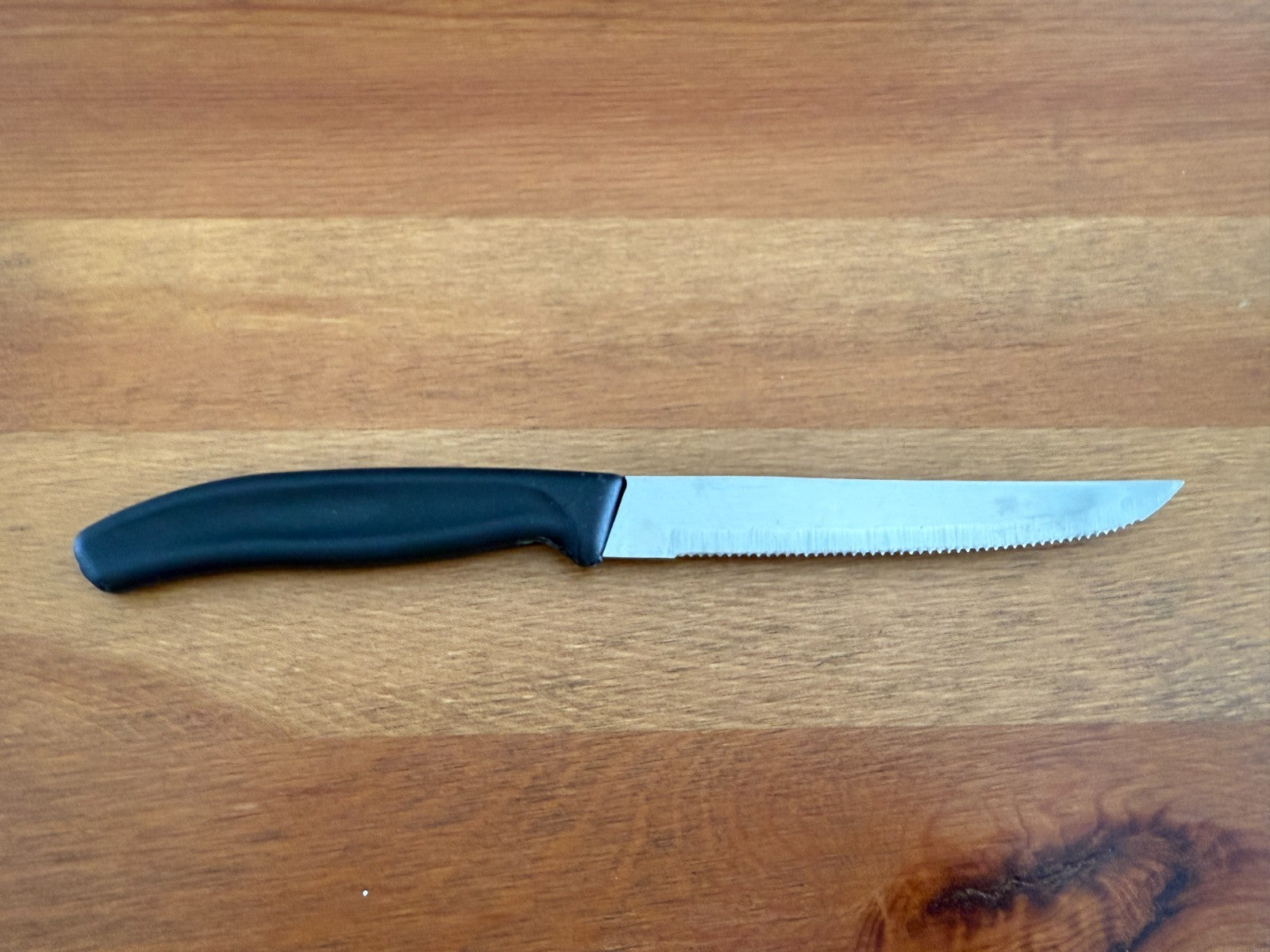 Table Knife with Injected Handle – Stainless Steel Serrated Blade From Spain