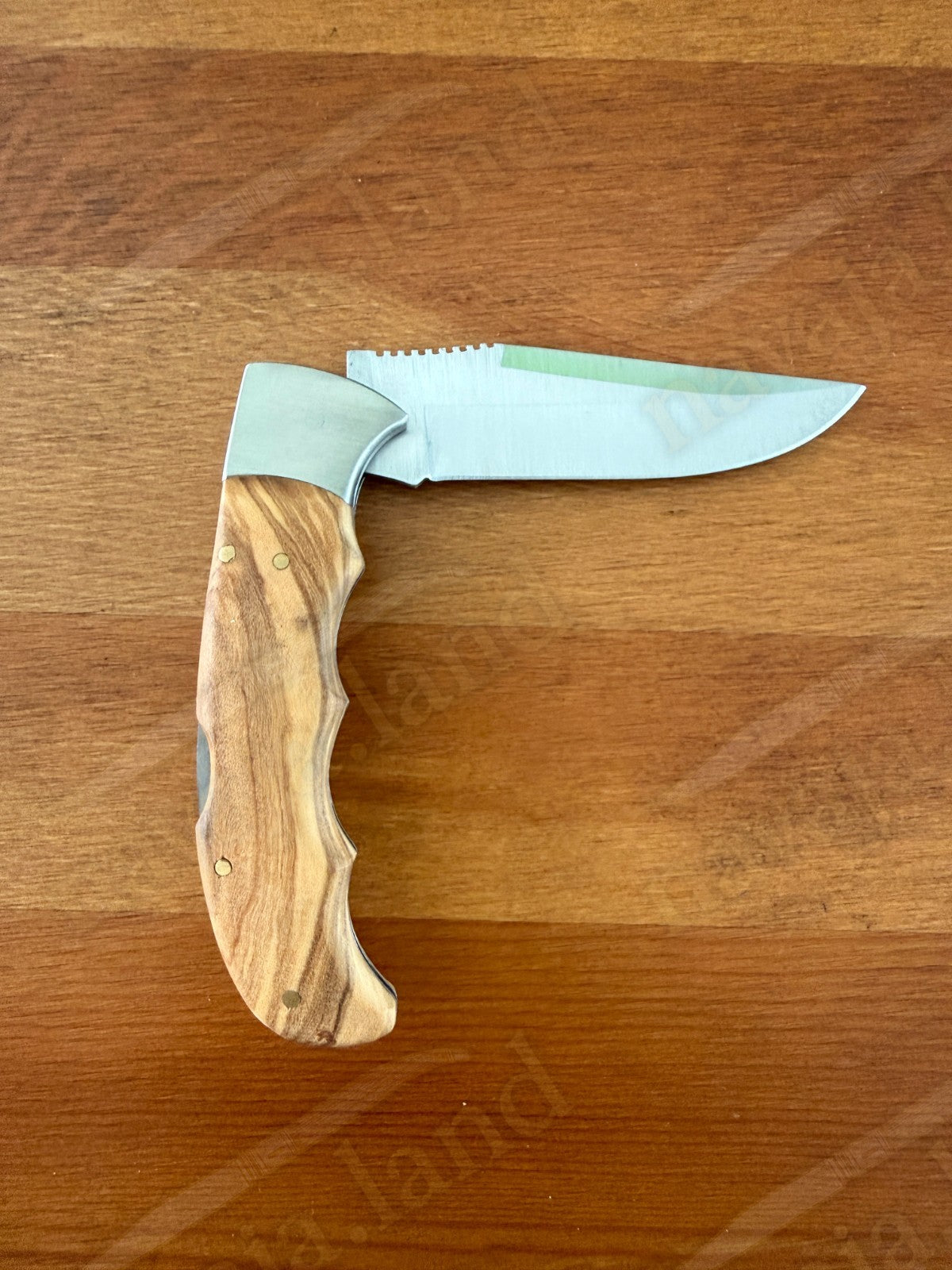 Joker Terrier Hunting Folding Knife 3.5” MOVA Blade Olive Wood Handle From Spain