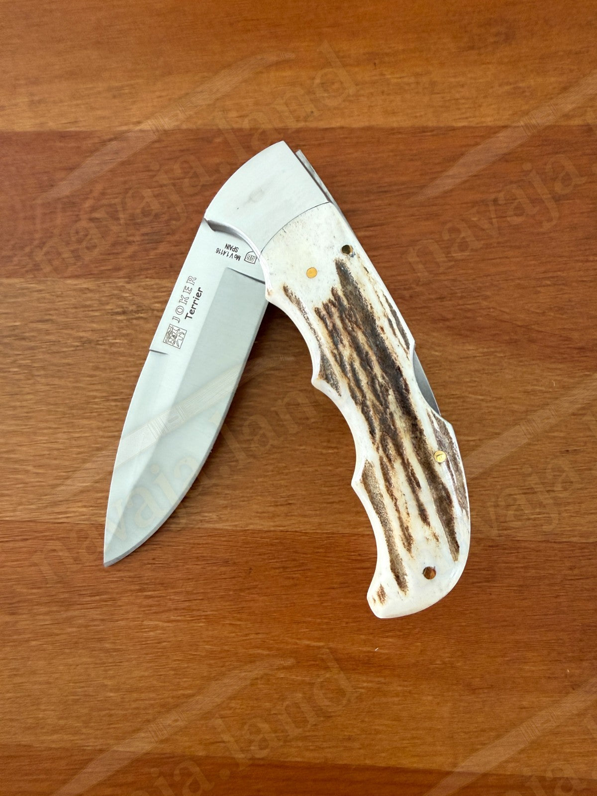 Joker Terrier Hunting Folding Knife 3.5” MOVA Blade Deer Horn Handle From Spain