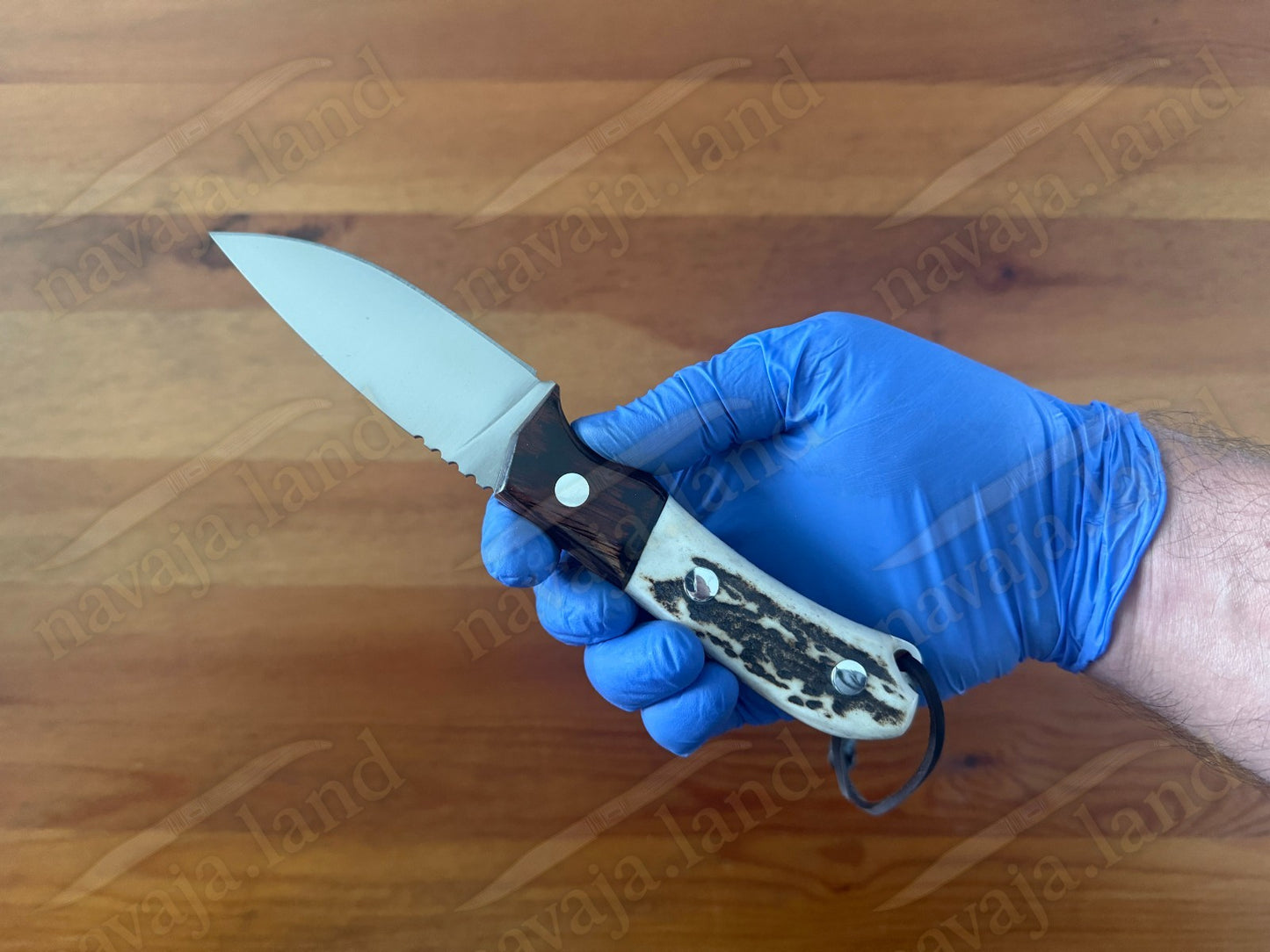 Joker Aguila Bushcraft Knife 3.34” MOVA Blade Deer Horn & Rosewood Handle