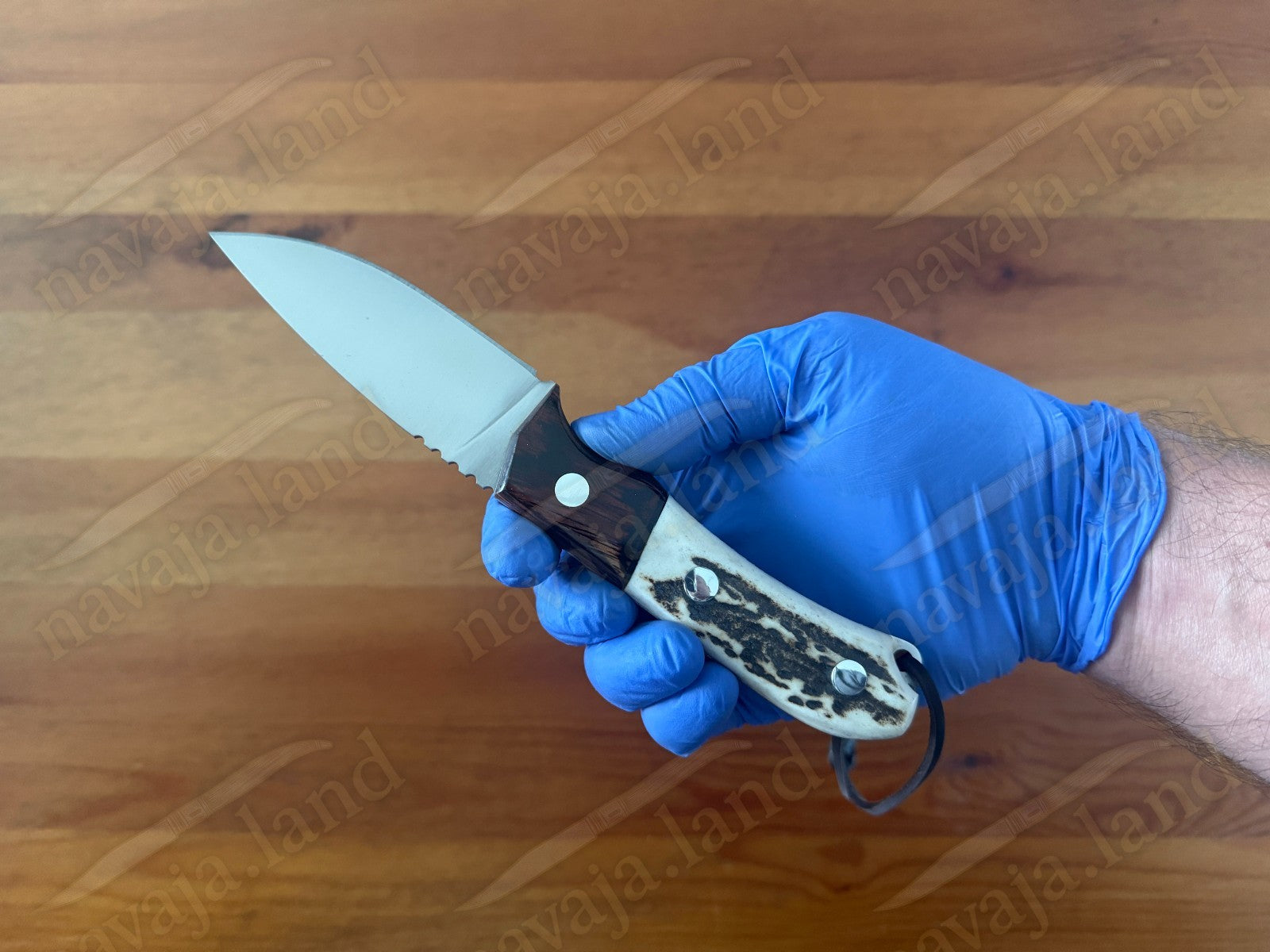 Joker Aguila Bushcraft Knife 3.34” MOVA Blade Deer Horn & Rosewood Handle