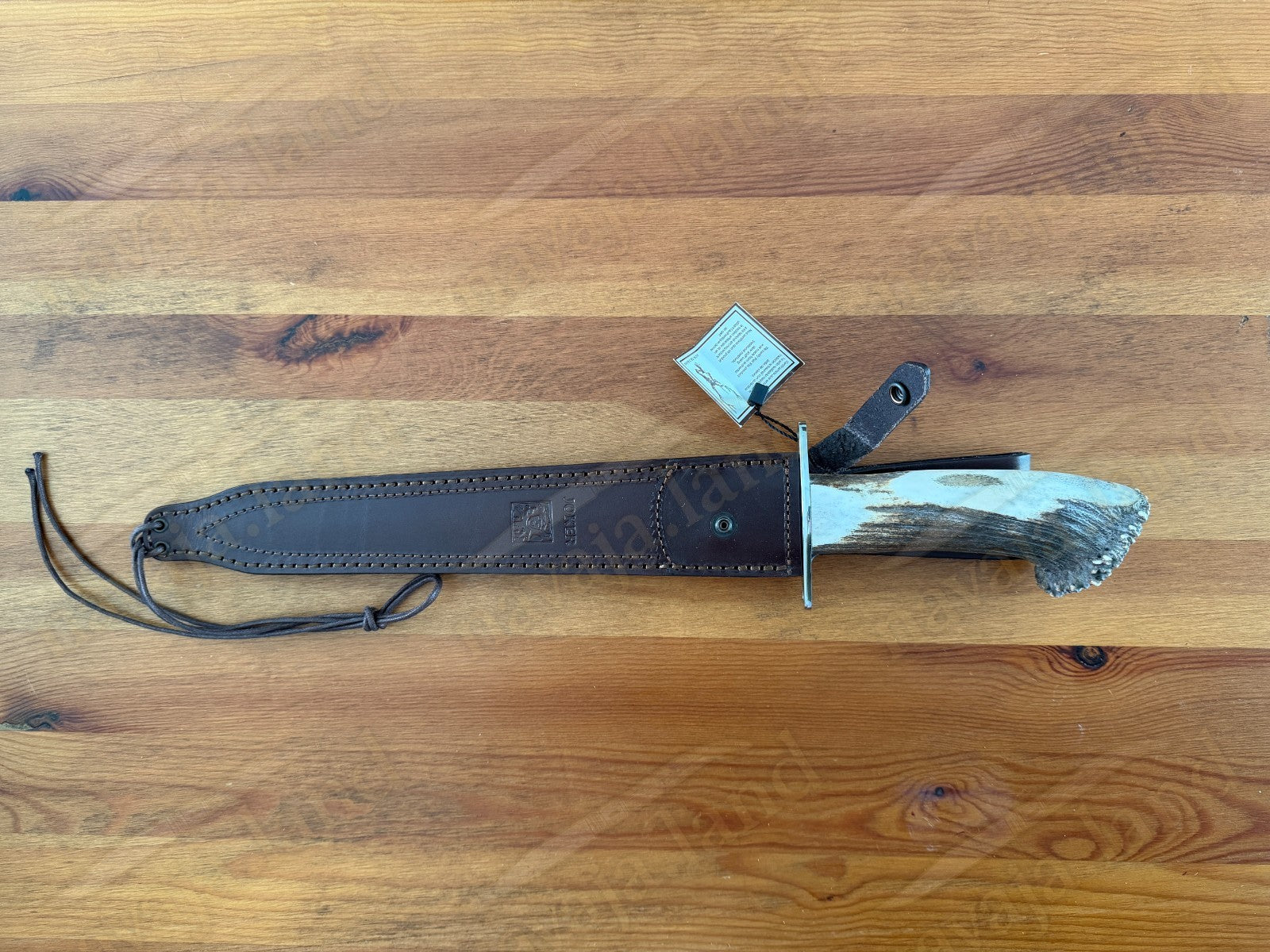 Joker Guepardo Hunting Knife – 11.81” Blade MOVA 1.4116 | Deer Antler Handle