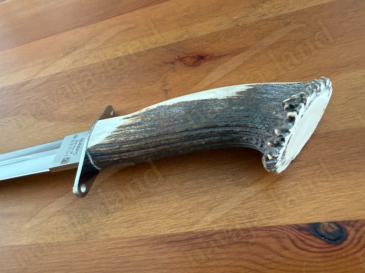 Joker Guepardo Hunting Knife – 11.81” Blade MOVA 1.4116 | Deer Antler Handle