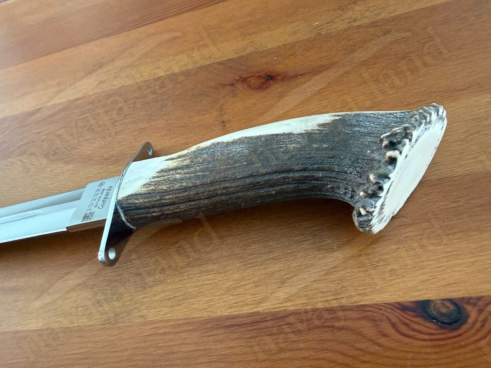 Joker Guepardo Hunting Knife – 11.81” Blade MOVA 1.4116 | Deer Antler Handle