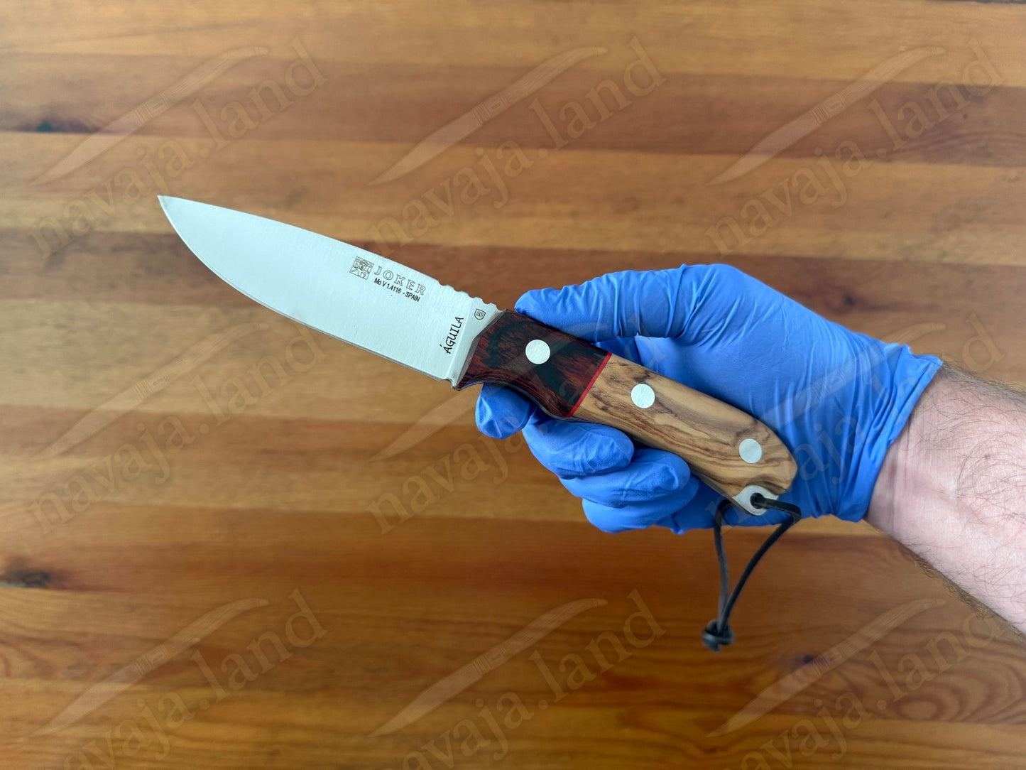 Joker Aguila Bushcraft Knife 4.13” MOVA Blade Olive Wood & Rosewood Handle