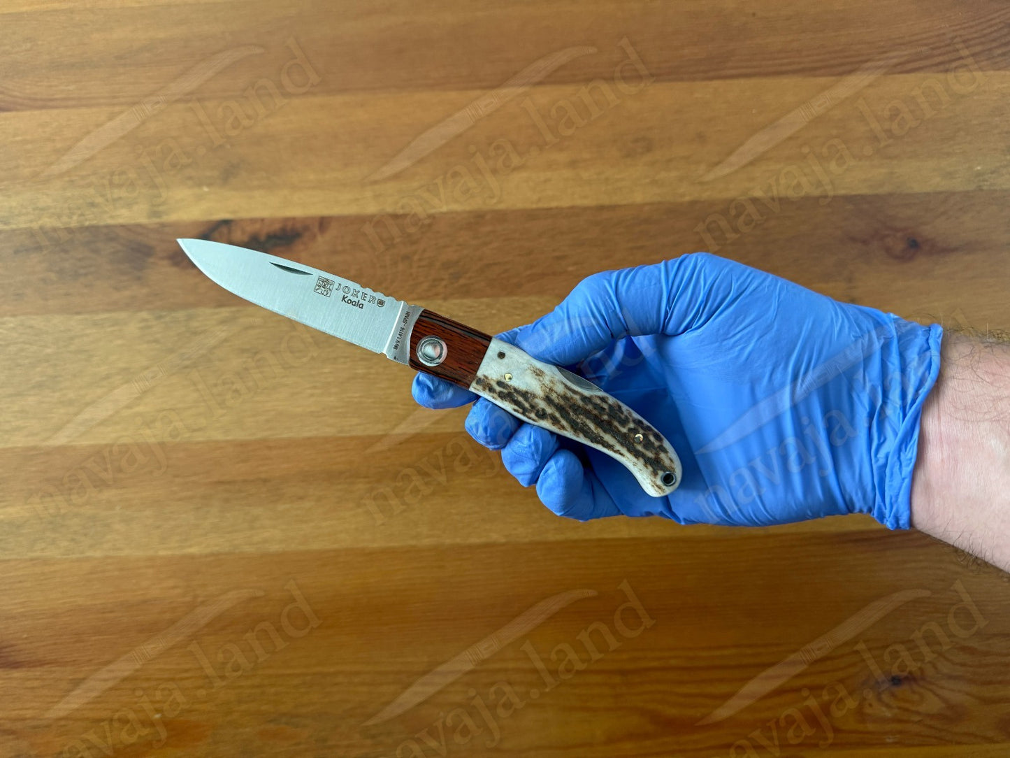 Joker Koala Pocket Knife 2.75” MOVA Blade Deer Horn Handle Grenadillo Ferrule