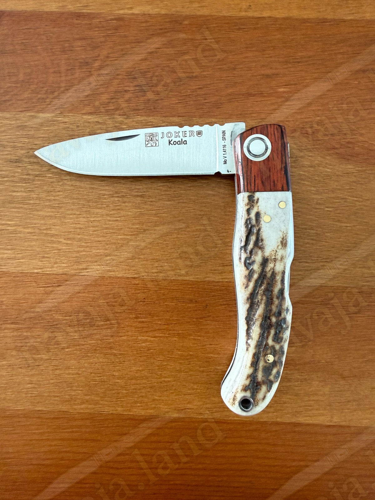 Joker Koala Pocket Knife 2.75” MOVA Blade Deer Horn Handle Grenadillo Ferrule