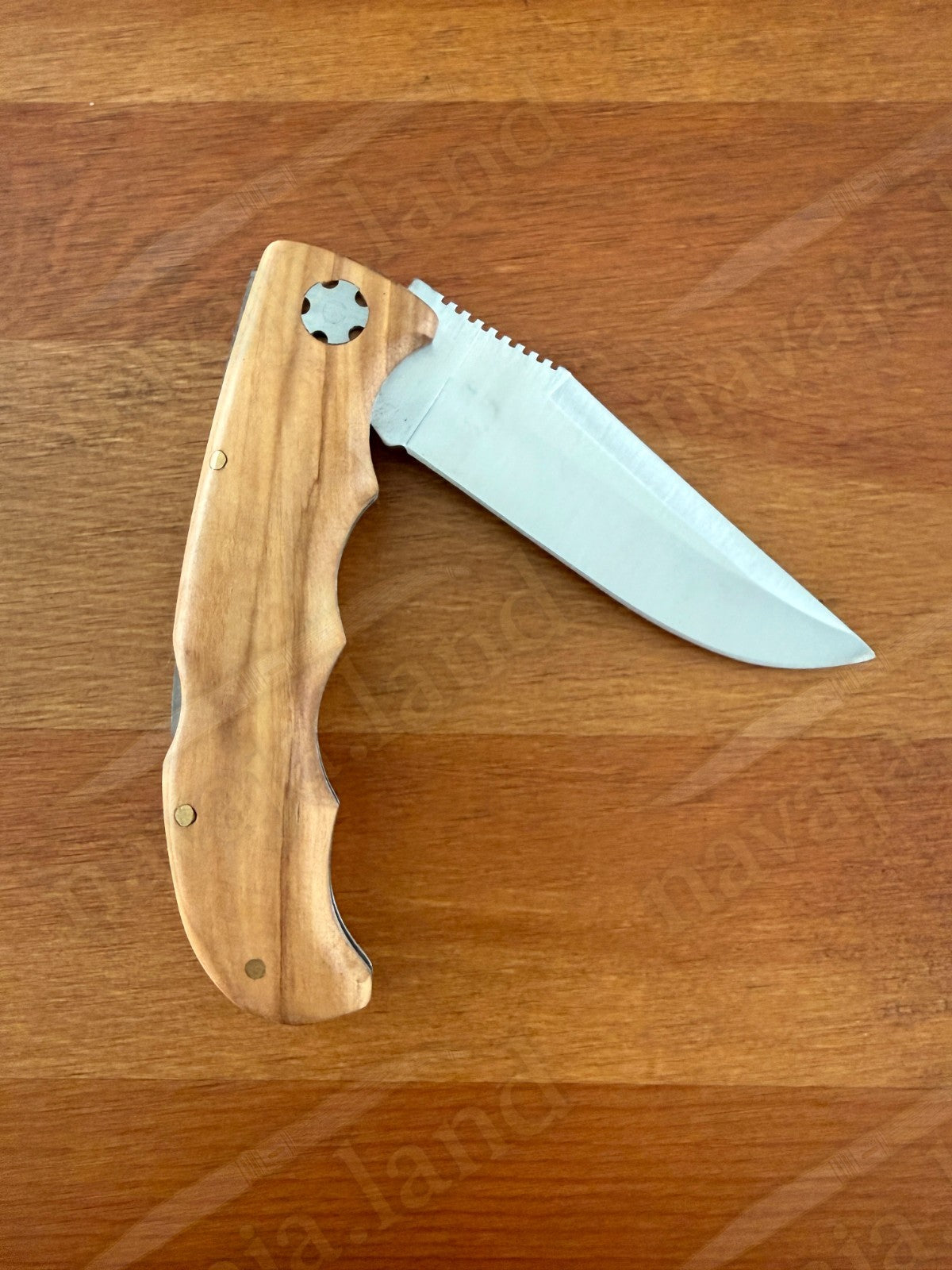 Joker Terrier Hunting Folding Knife 3.5” MOVA Blade Olive Wood Handle From Spain