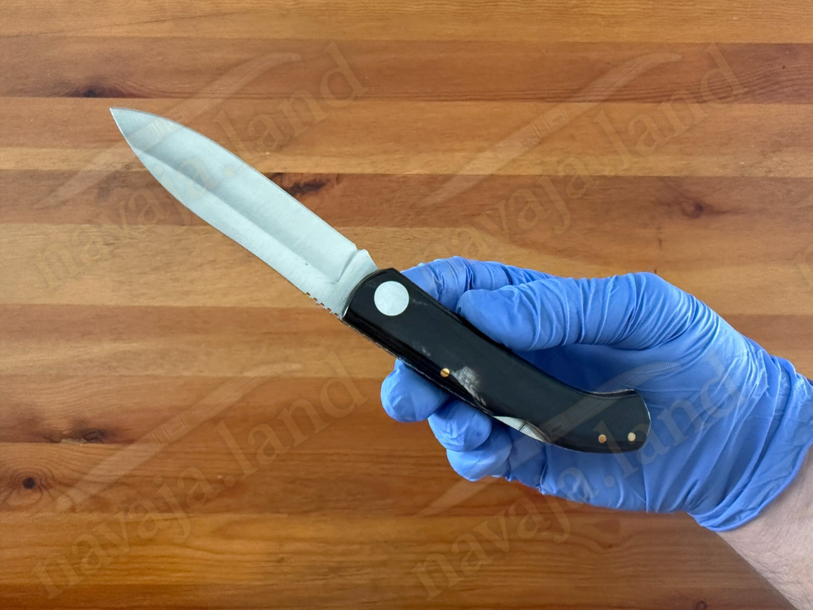 Joker Pachón Folding Knife – Buffalo Horn Handle Sandvik 12C27 Steel Backlock