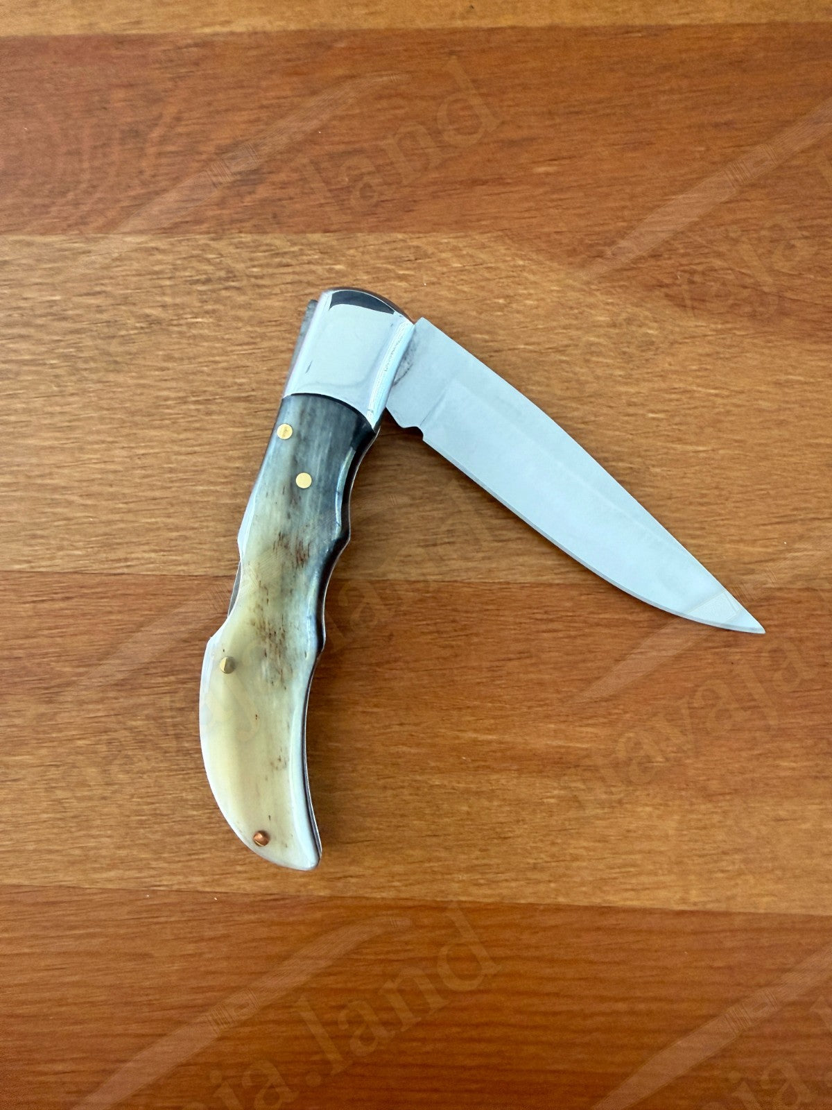 3” Joker Pointer Camping Folding Knife (Bull Horn Handle) Handmade in Spain
