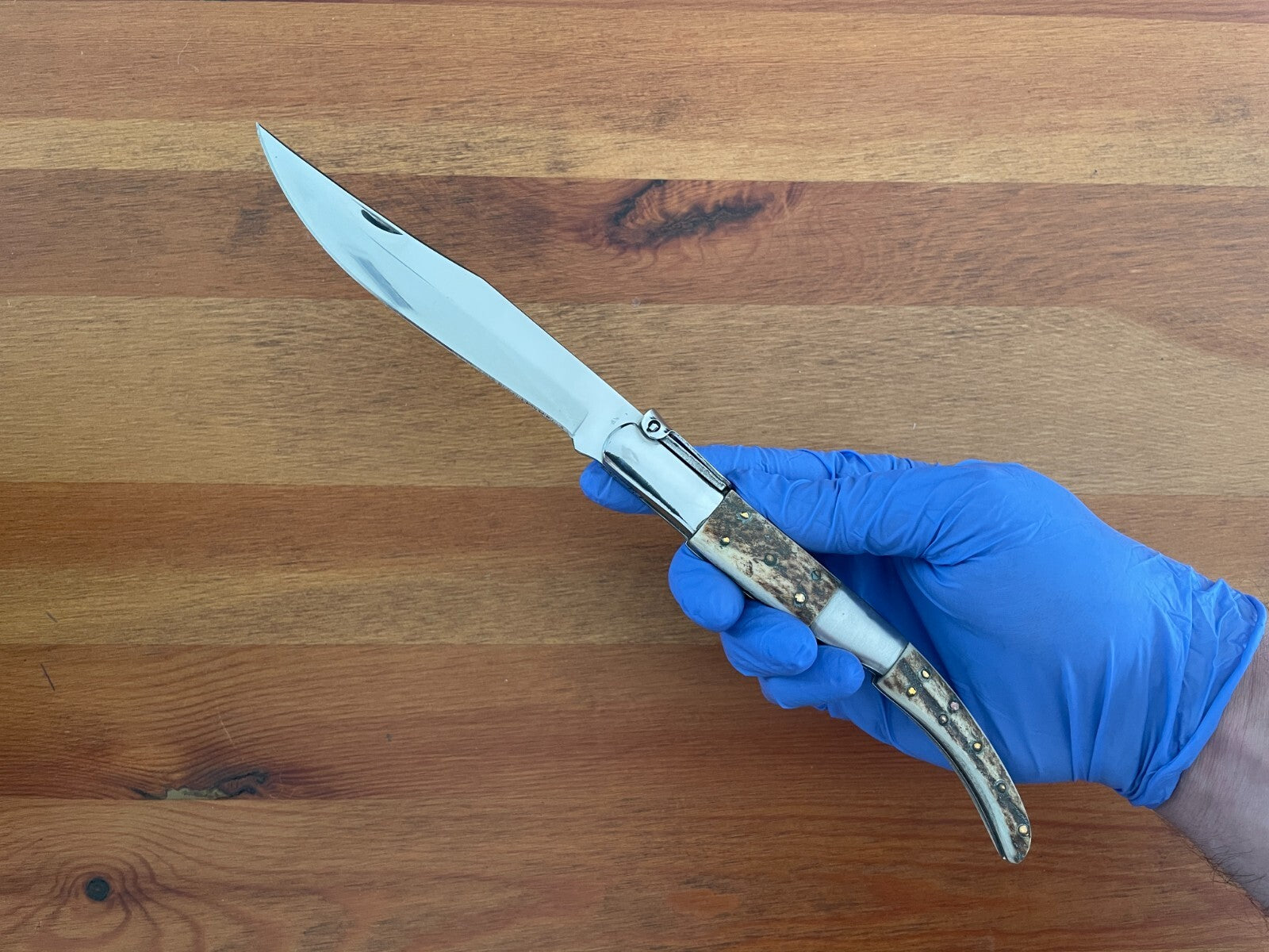 5.3" Arabian Folding Pocket Knife Real Deer Antler Scales Handmade in Spain