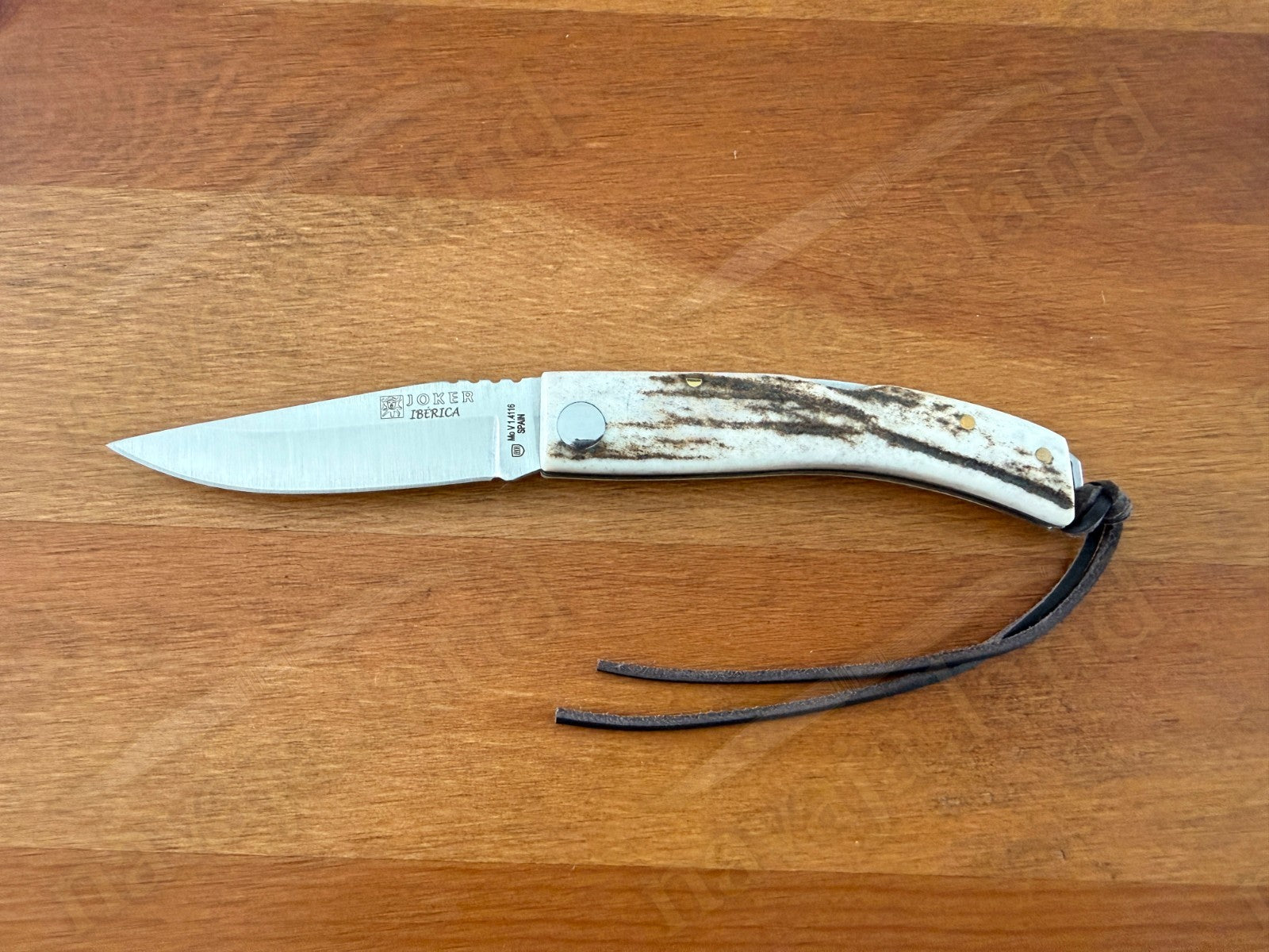Joker Ibérica Folding Knife 🦌 Deer Horn Handle 3” MOVA 1.4116 Stainless Steel