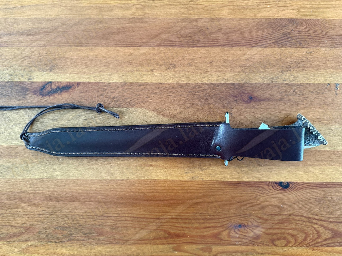 Joker Guepardo Hunting Knife – 11.81” Blade MOVA 1.4116 | Deer Antler Handle