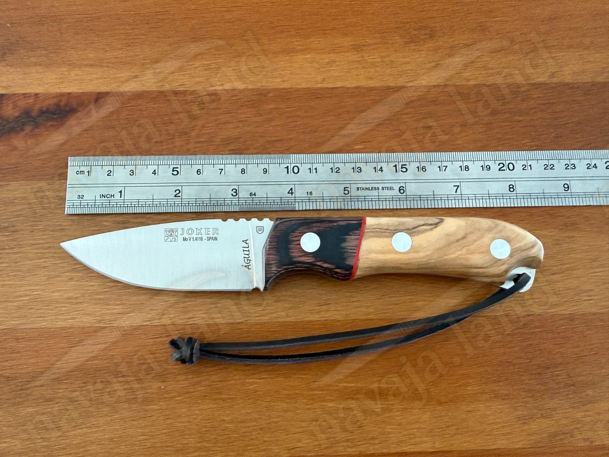 Joker Aguila Bushcraft Knife 3.35” MOVA Blade Olive Wood & Rosewood Handle
