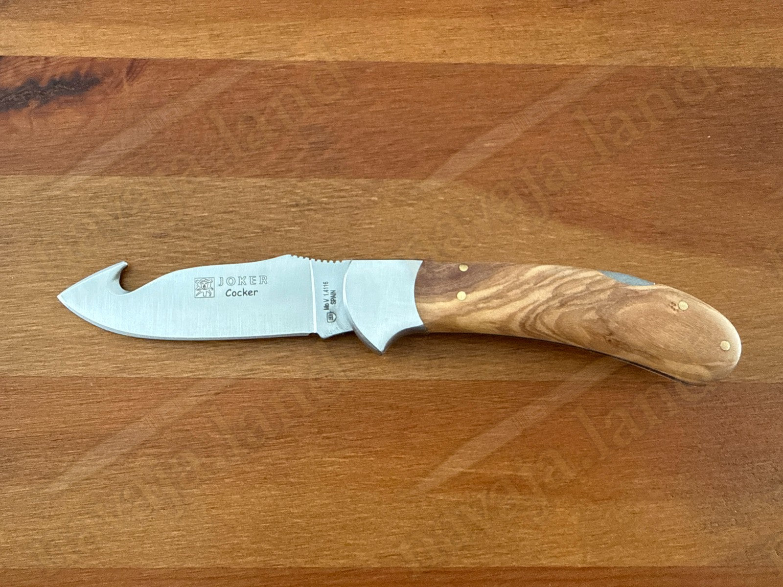Joker Cocker Hunting Skinning Folding Knife 3.54” MOVA Blade Olive Wood Handle