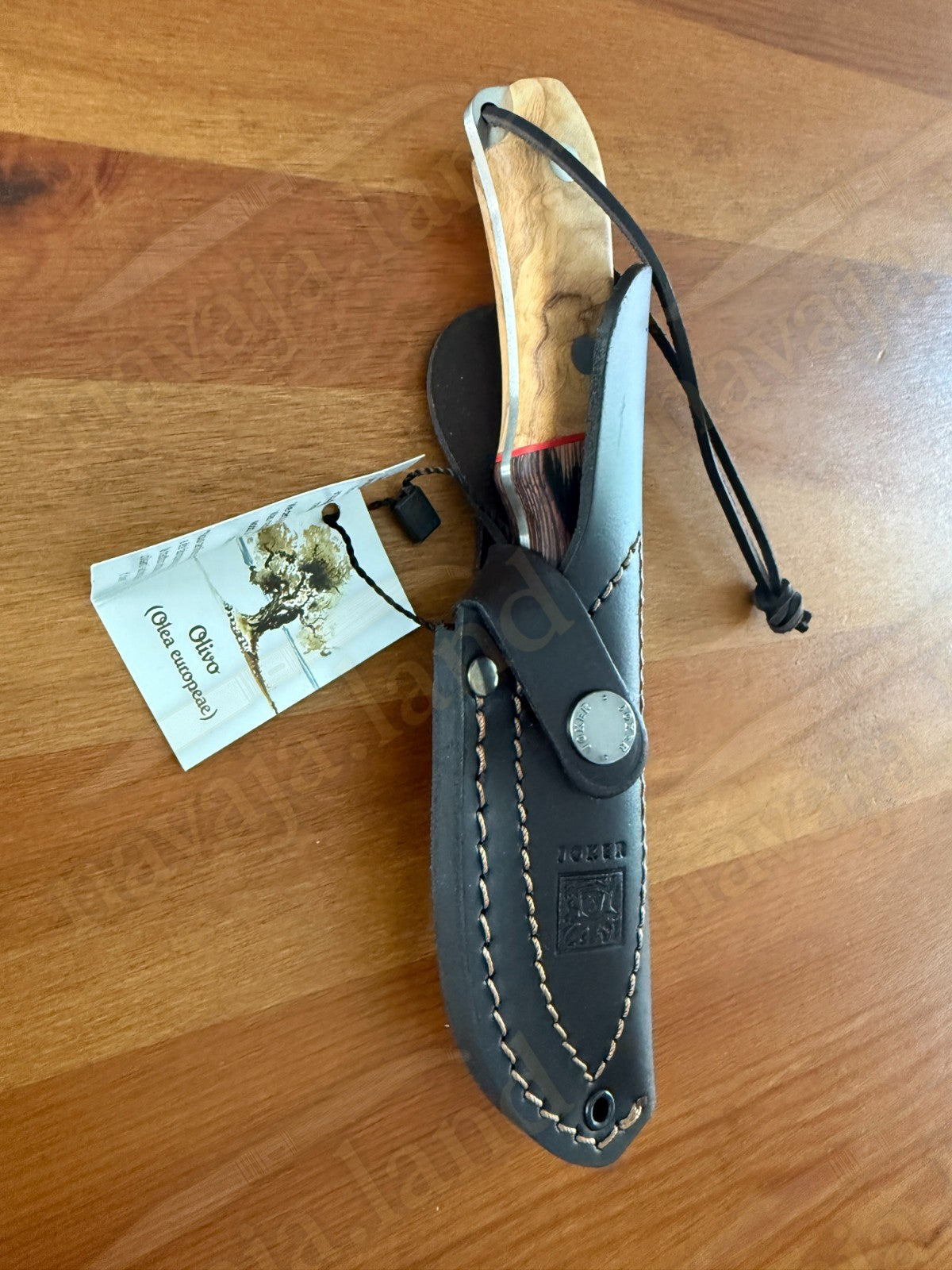 Joker Aguila Bushcraft Knife 3.35” MOVA Blade Olive Wood & Rosewood Handle