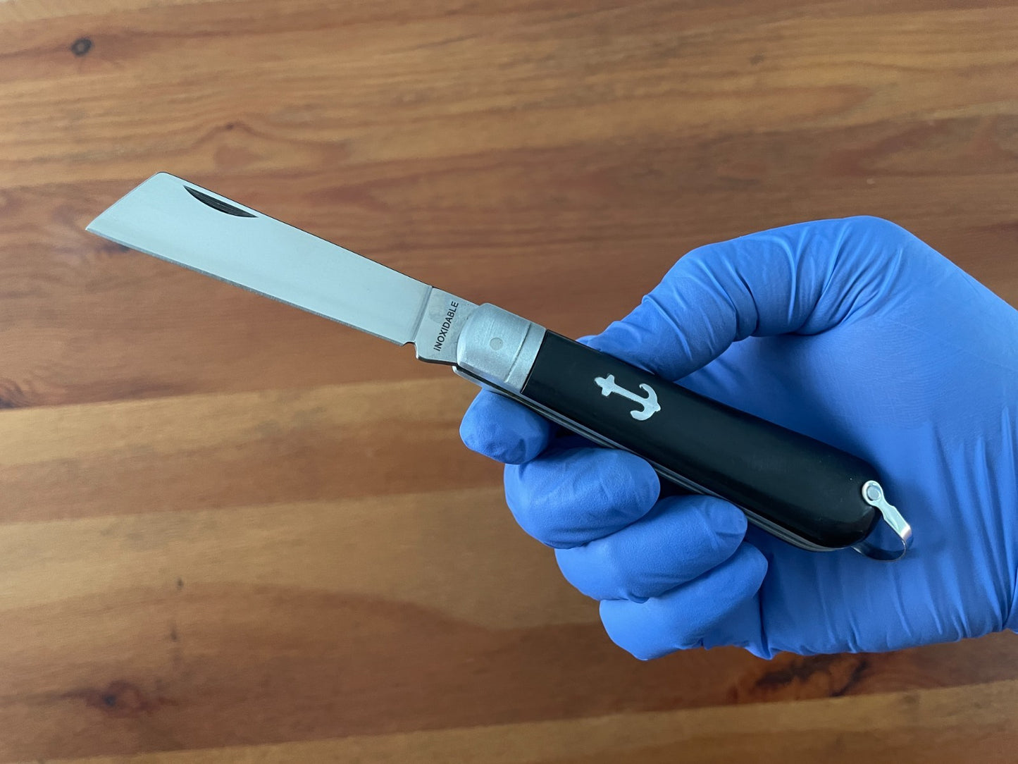 3.14" Sailor Folding Pocket Knife Cut Tip Plastic Scales Slipjoint From Spain