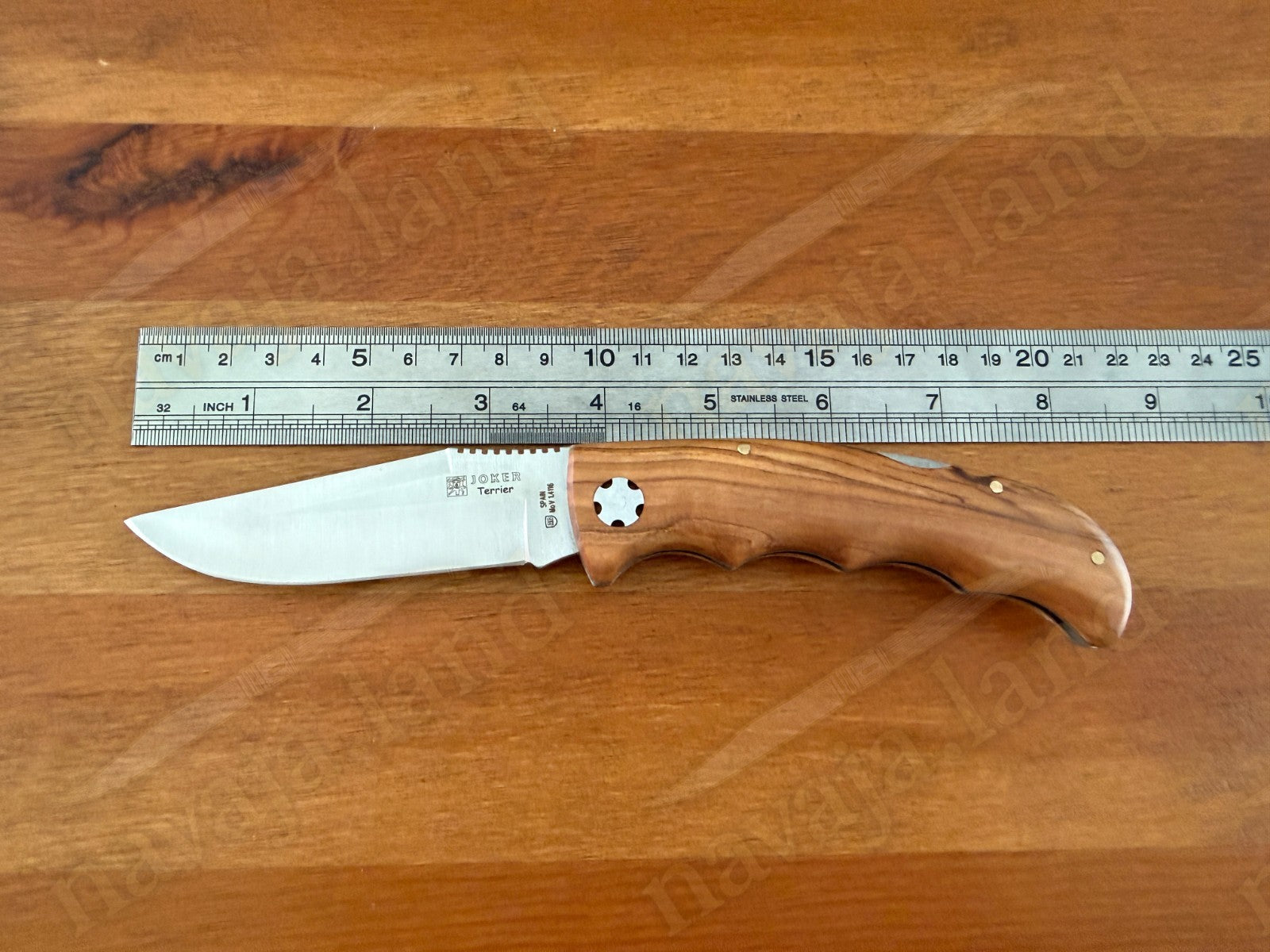 Joker Terrier Hunting Folding Knife 3.5” MOVA Blade Olive Wood Handle From Spain