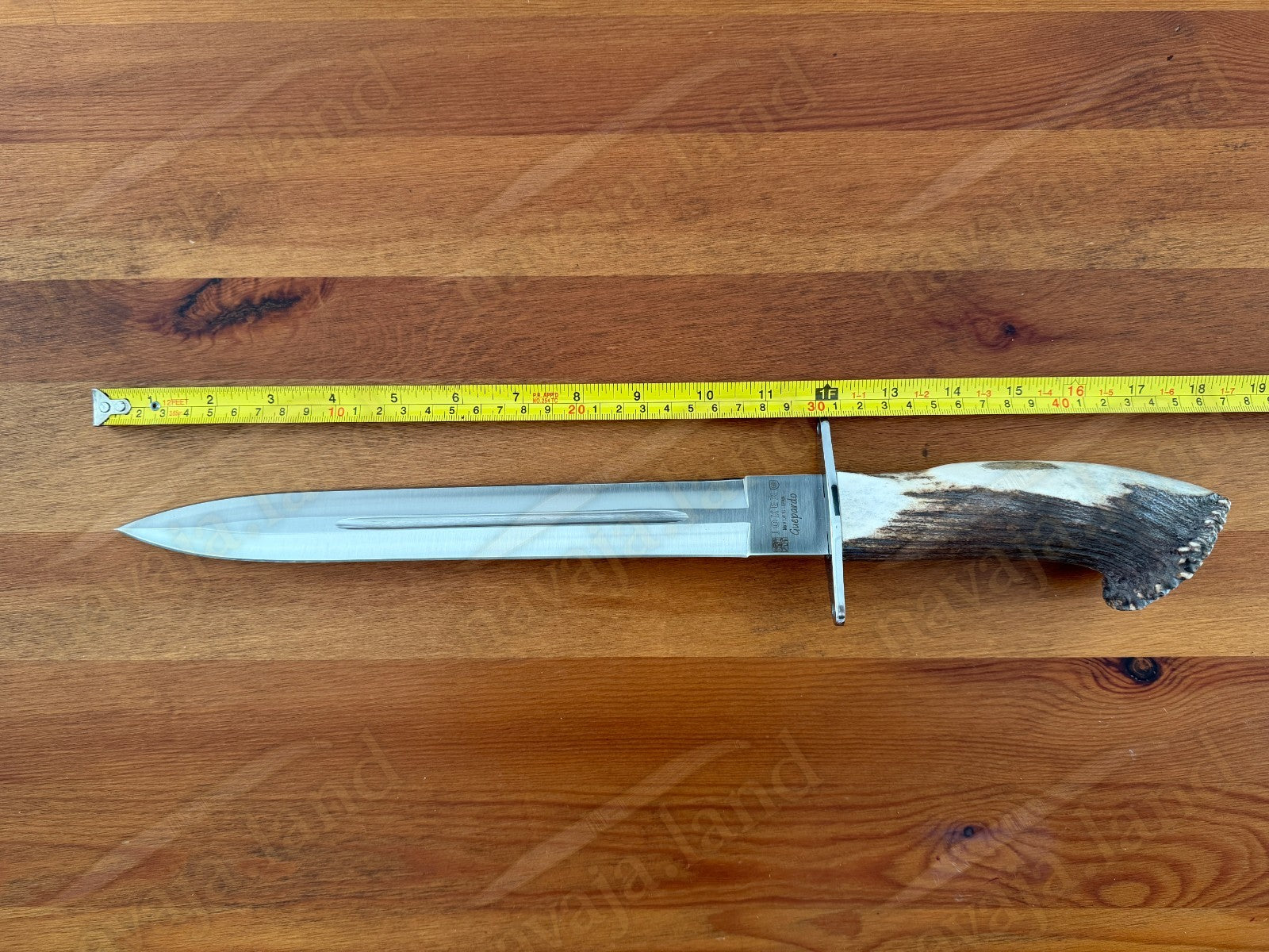 Joker Guepardo Hunting Knife – 11.81” Blade MOVA 1.4116 | Deer Antler Handle