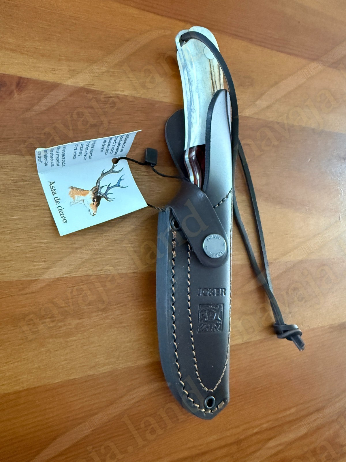 Joker Aguila Bushcraft Knife 3.34” MOVA Blade Deer Horn & Rosewood Handle