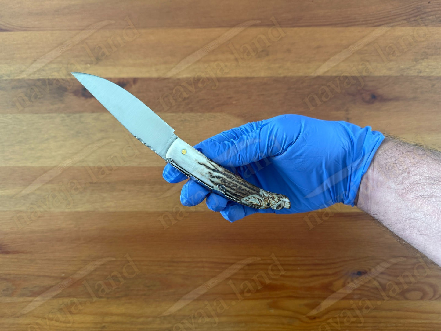 Joker Folding Knife w/ Hand Carved Wild Boar Motif Deer Antler 3.1" MOVA Steel
