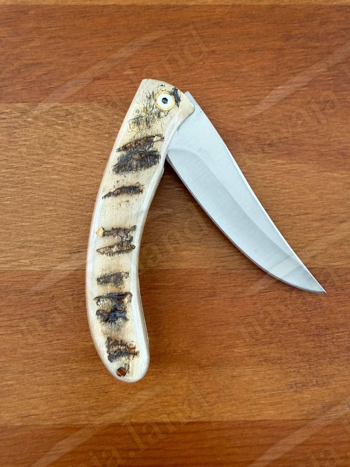 Cudeman Cazorla Folding Knife – 3.35 in Sandvik 12C27 Steel | Ram Horn Handle