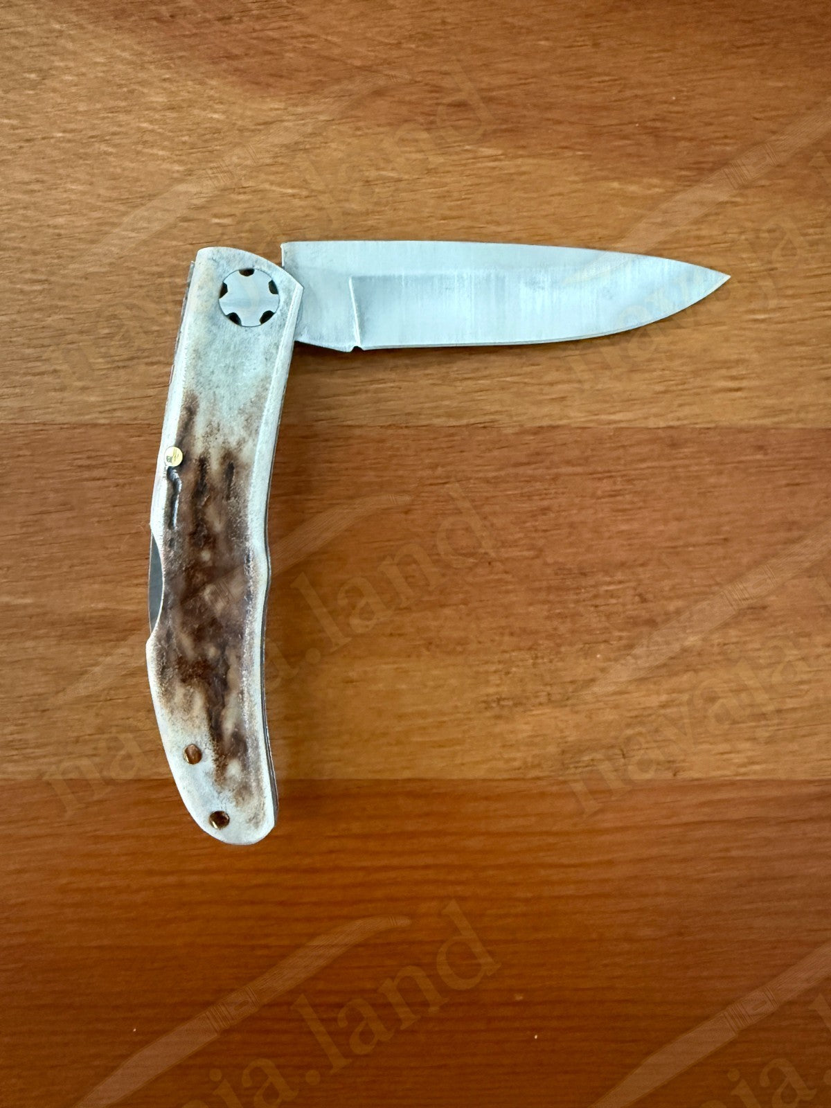 2.56” Joker Setter Bushcraft Folding Knife (Stag Horn Handle) Handmade Spain