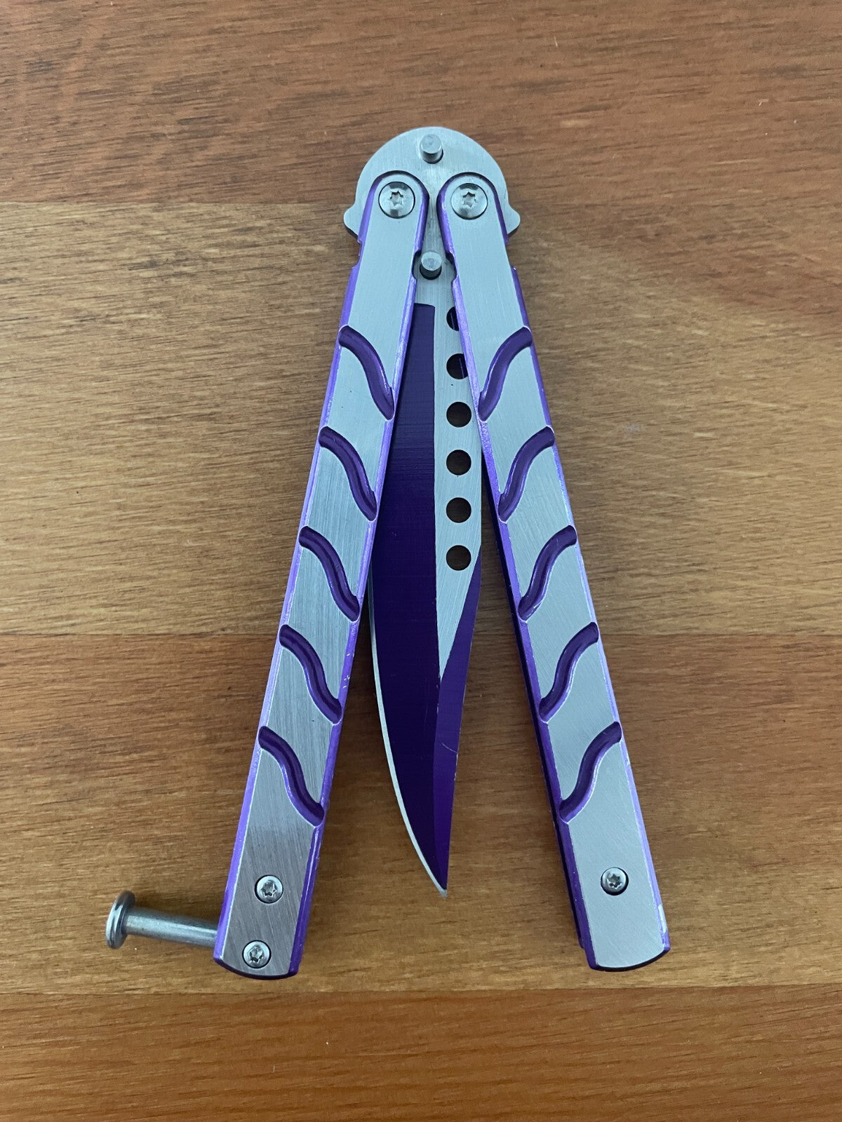 3.74" Stainless Steel Blade Folding Pocket Knife Brushed Steel Purple Handle