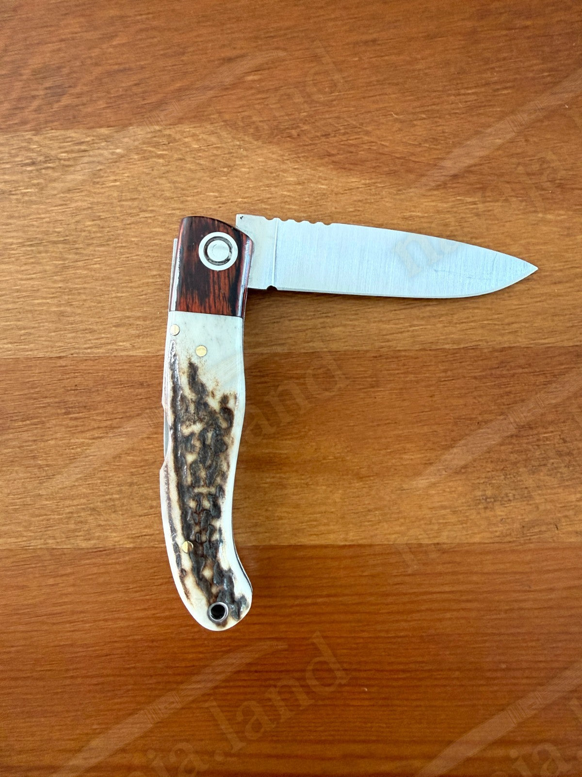 Joker Koala Pocket Knife 2.75” MOVA Blade Deer Horn Handle Grenadillo Ferrule