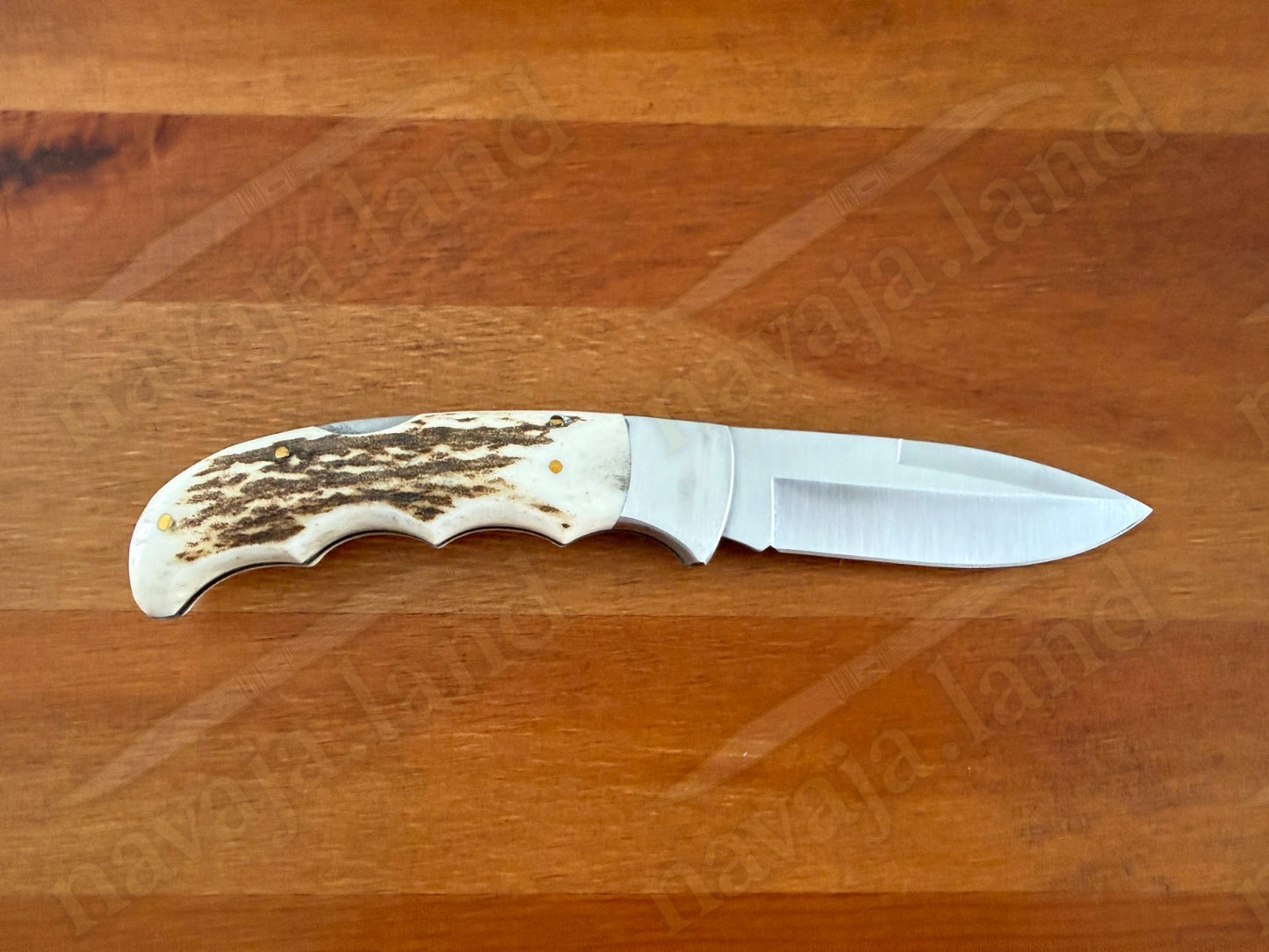 Joker Terrier Hunting Folding Knife 3.5” MOVA Blade Deer Horn Handle From Spain