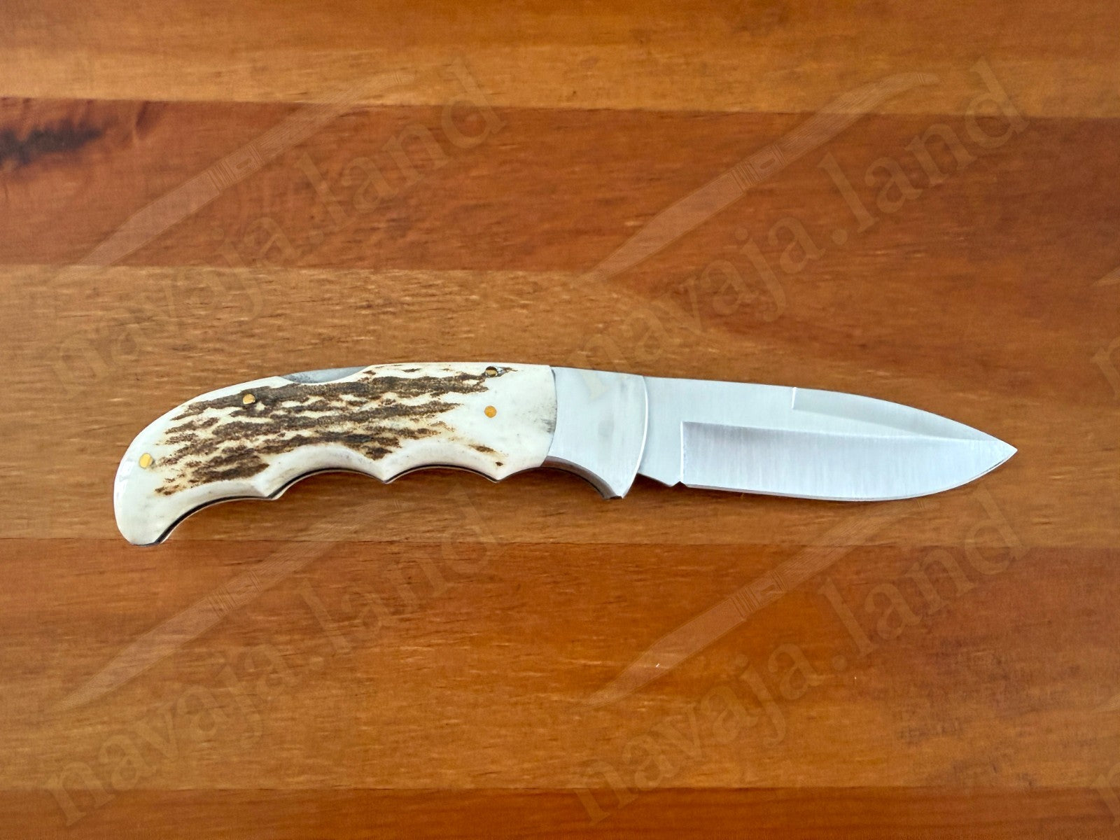 Joker Terrier Hunting Folding Knife 3.5” MOVA Blade Deer Horn Handle From Spain