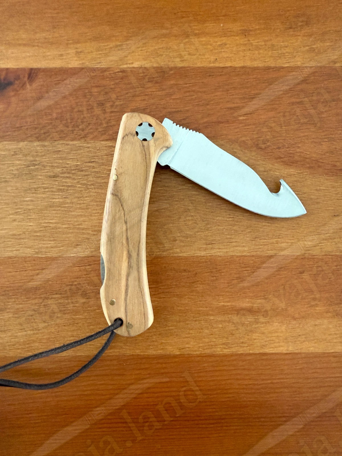 Joker Cocker Hunting Skinning Folding Knife 3.54” MOVA Blade Olive Wood Handle