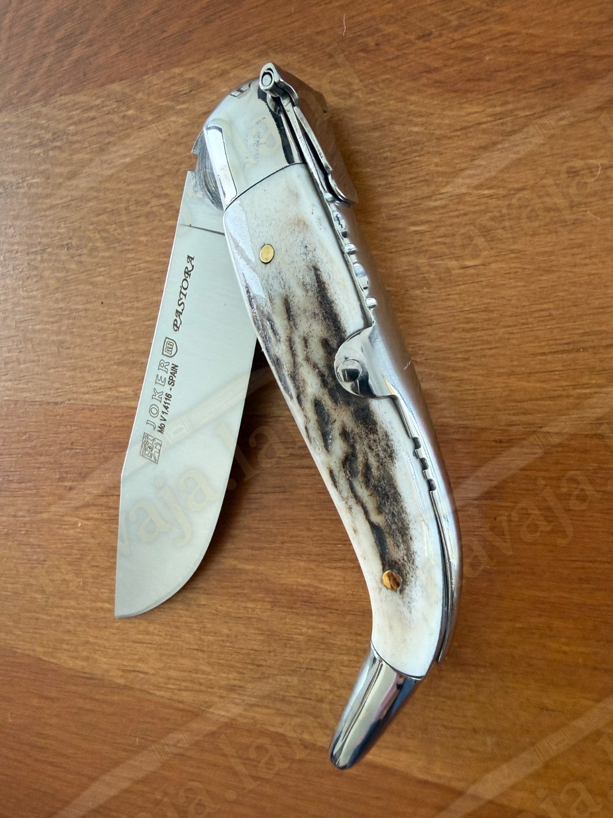 3.2” Joker Pastora Folding Knife Stag Horn Handle MOVA 1.4116 Stainless Steel