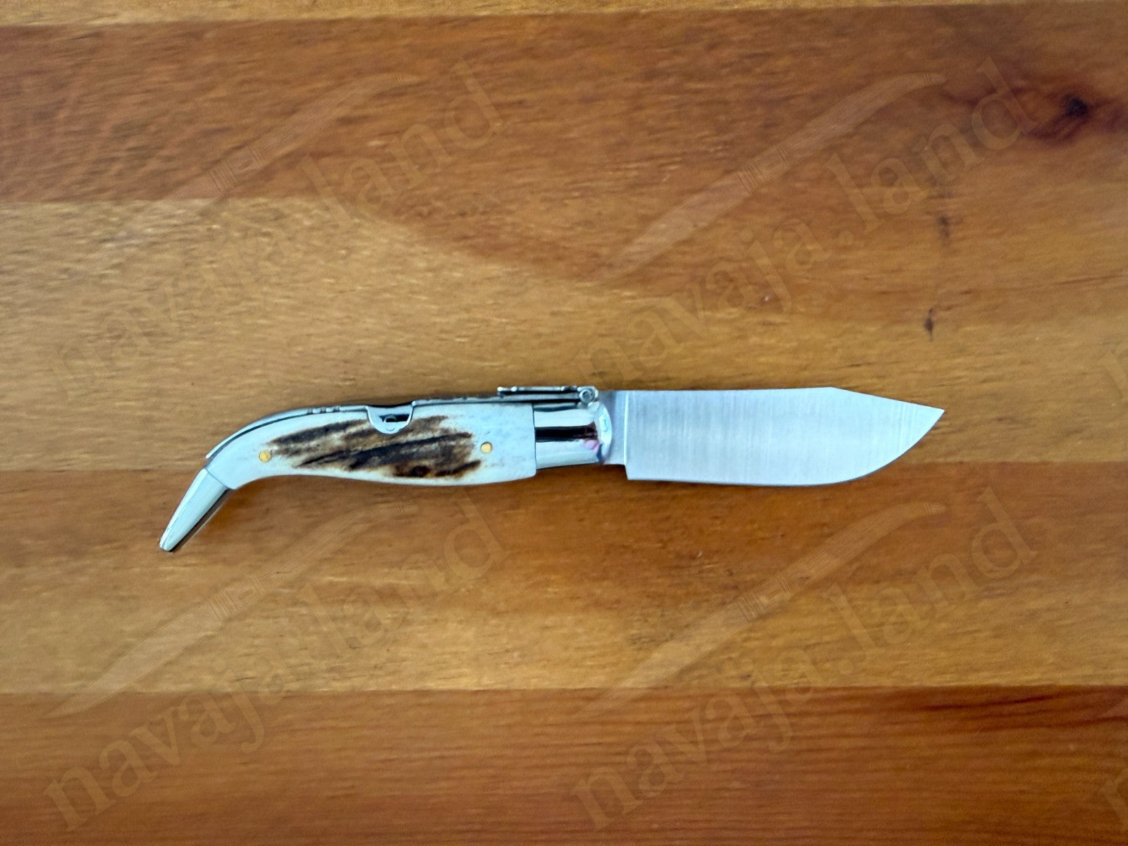 3.2” Joker Pastora Folding Knife Stag Horn Handle MOVA 1.4116 Stainless Steel