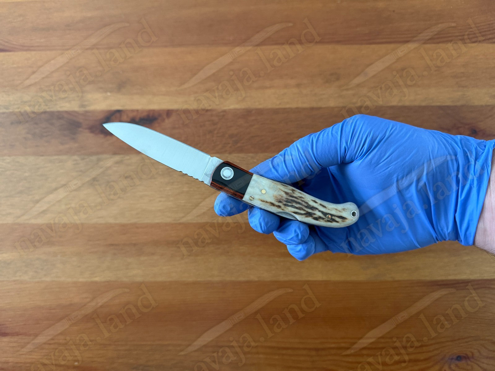 Joker Koala Pocket Knife 2.75” MOVA Blade Deer Horn Handle Grenadillo Ferrule