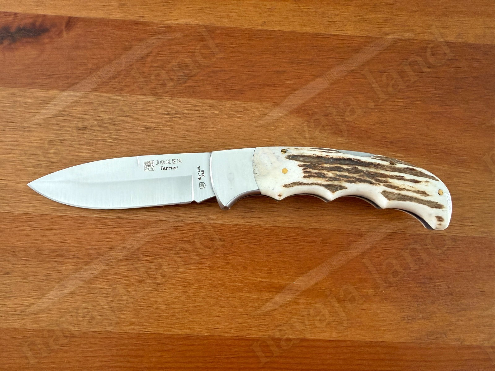 Joker Terrier Hunting Folding Knife 3.5” MOVA Blade Deer Horn Handle From Spain