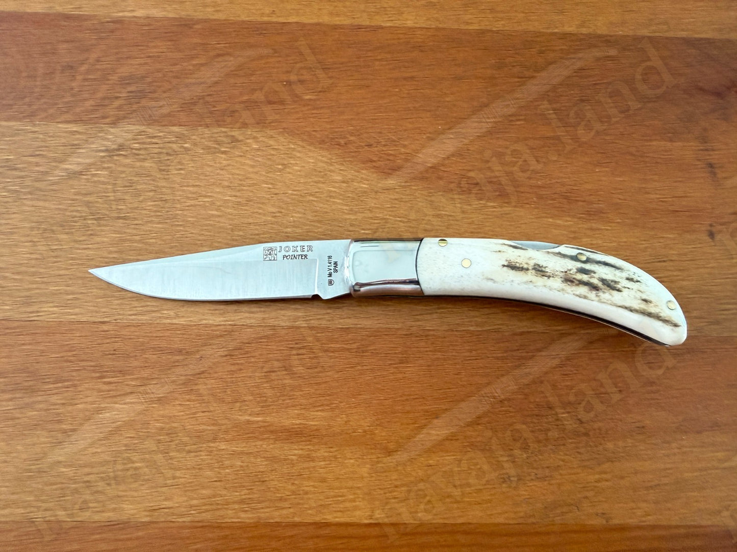 3” Joker Pointer Camping Folding Knife (Deer Antler Handle) Handmade in Spain