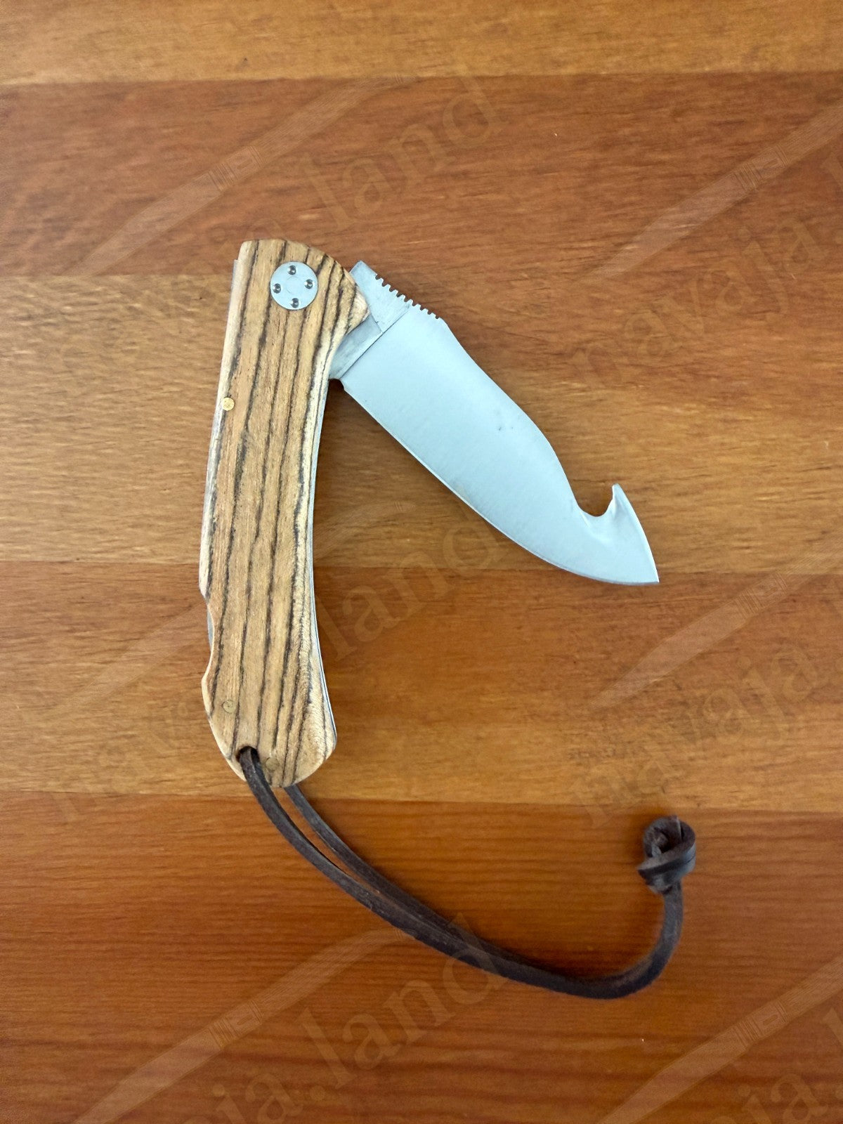 Joker Cocker Hunting Skinning Folding Knife 3.54” MOVA Blade Bocote Wood Handle