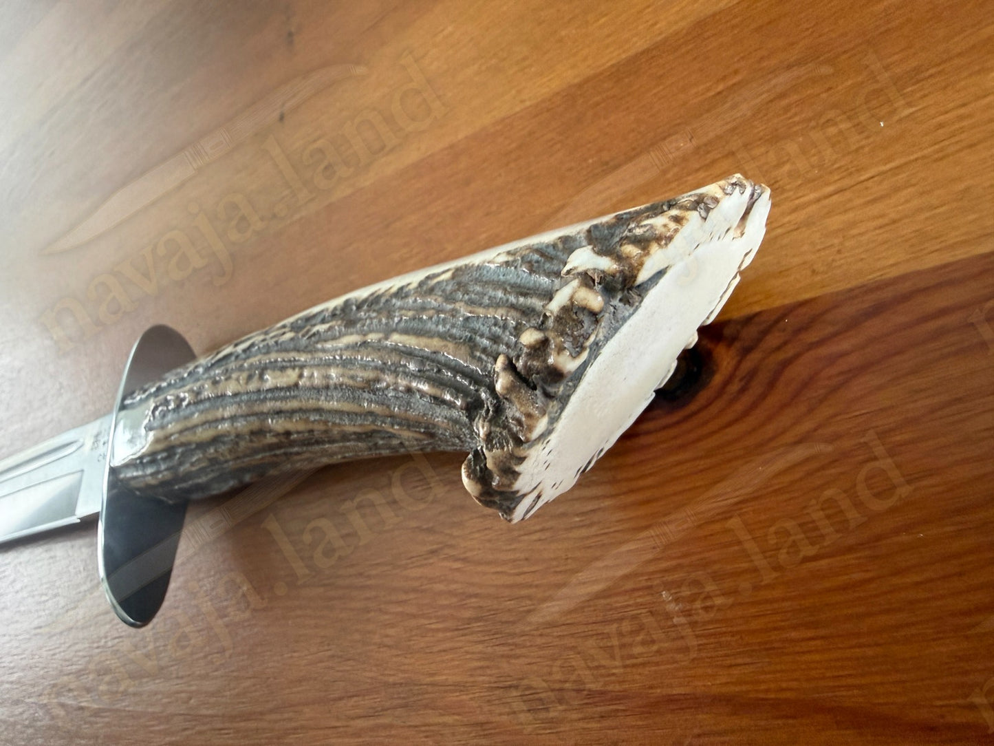 Joker Chamois Hunting Knife 10” MOVA Blade | Deer Antler Handle | Made in Spain