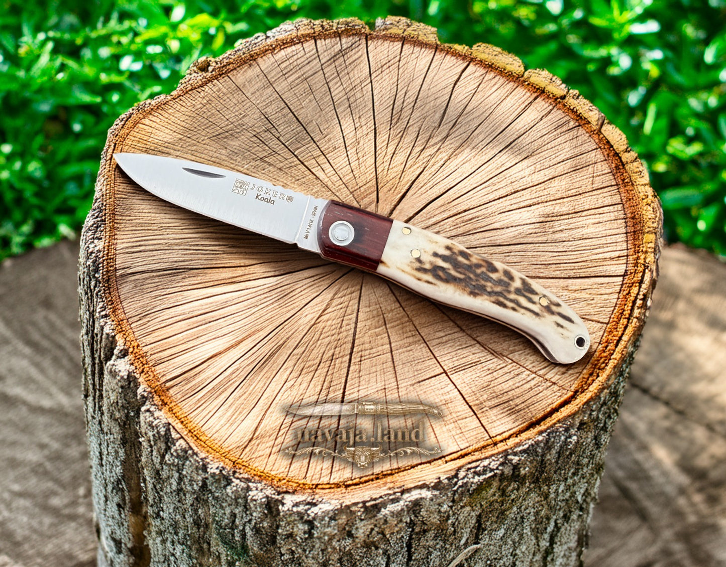 Joker Koala Pocket Knife 2.75” MOVA Blade Deer Horn Handle Grenadillo Ferrule