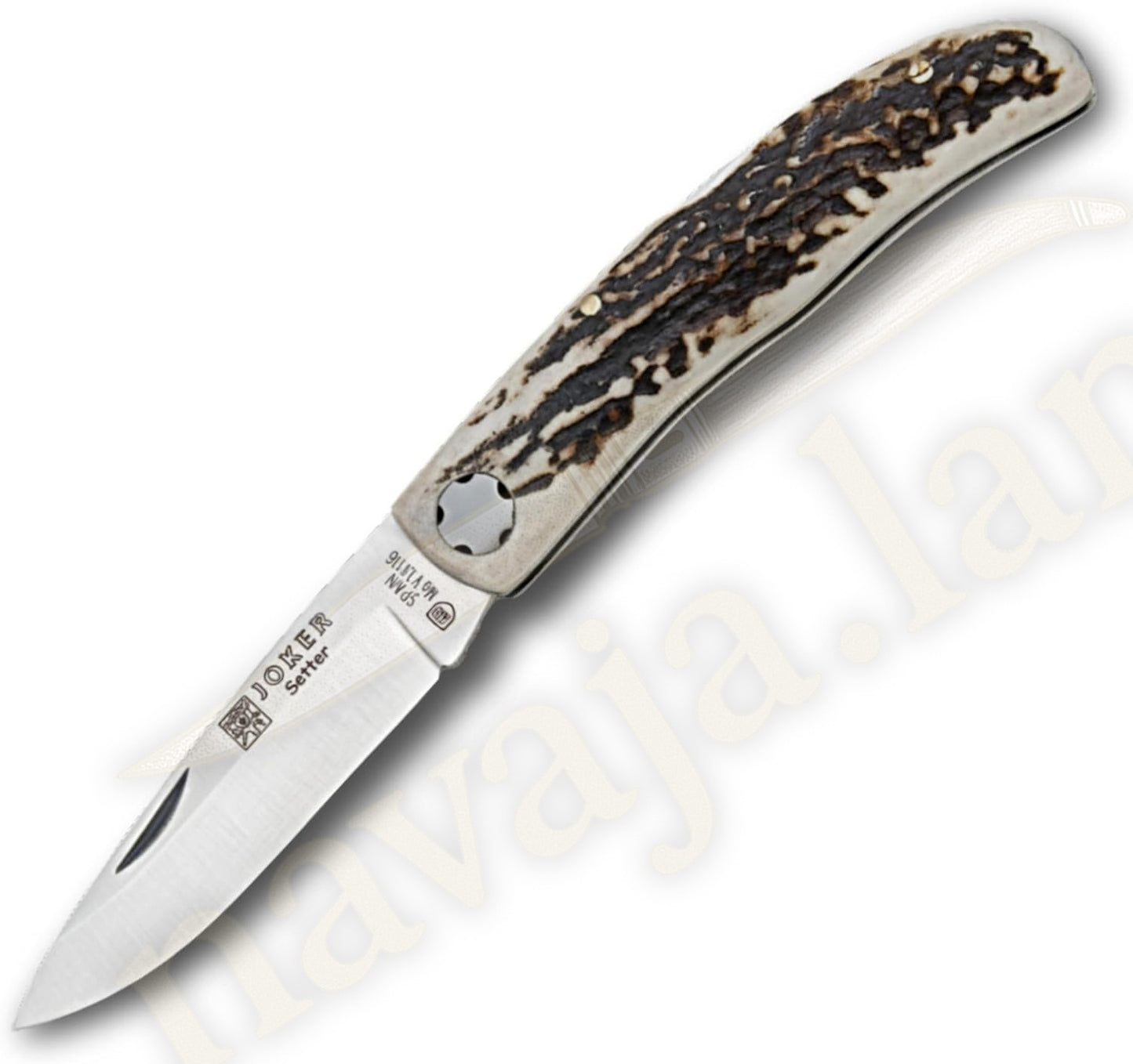 3.15” Joker Setter Bushcraft Folding Knife (Stag Horn Handle) Handmade Spain