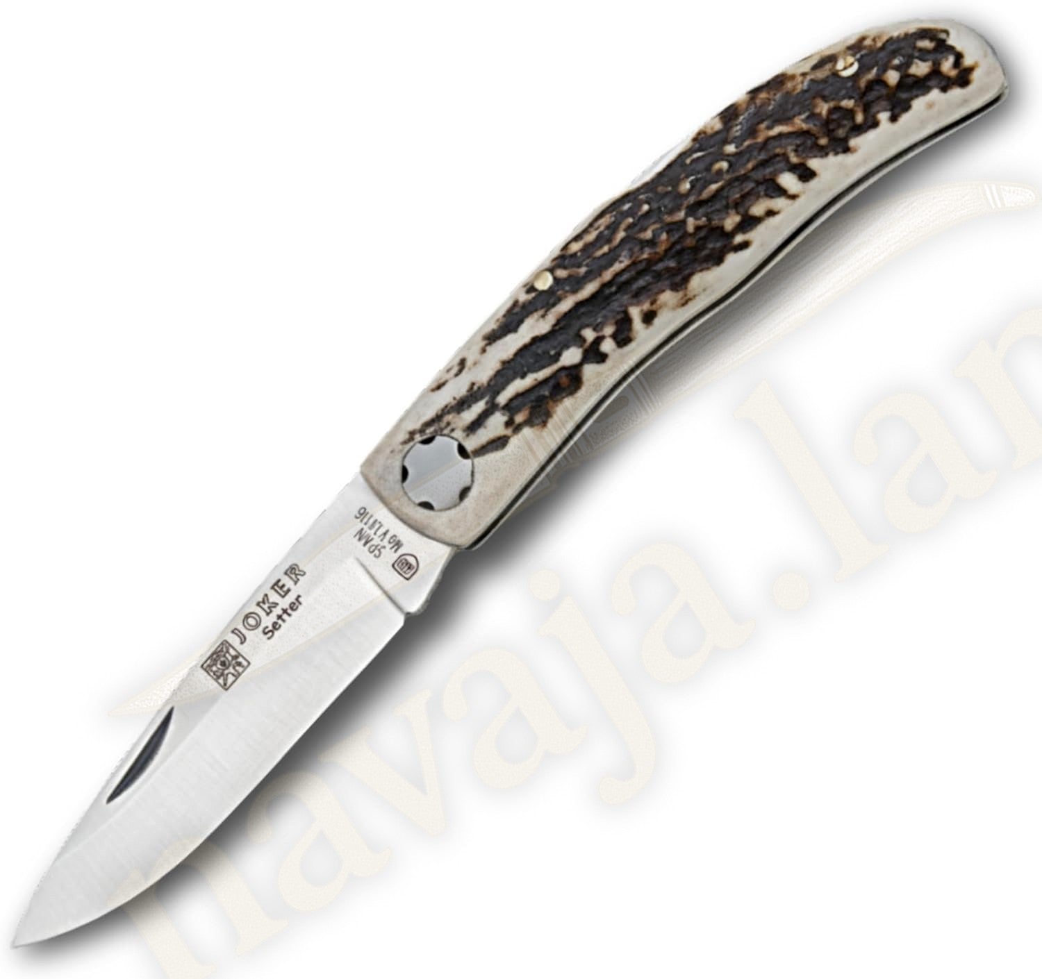 3.15” Joker Setter Bushcraft Folding Knife (Stag Horn Handle) Handmade Spain