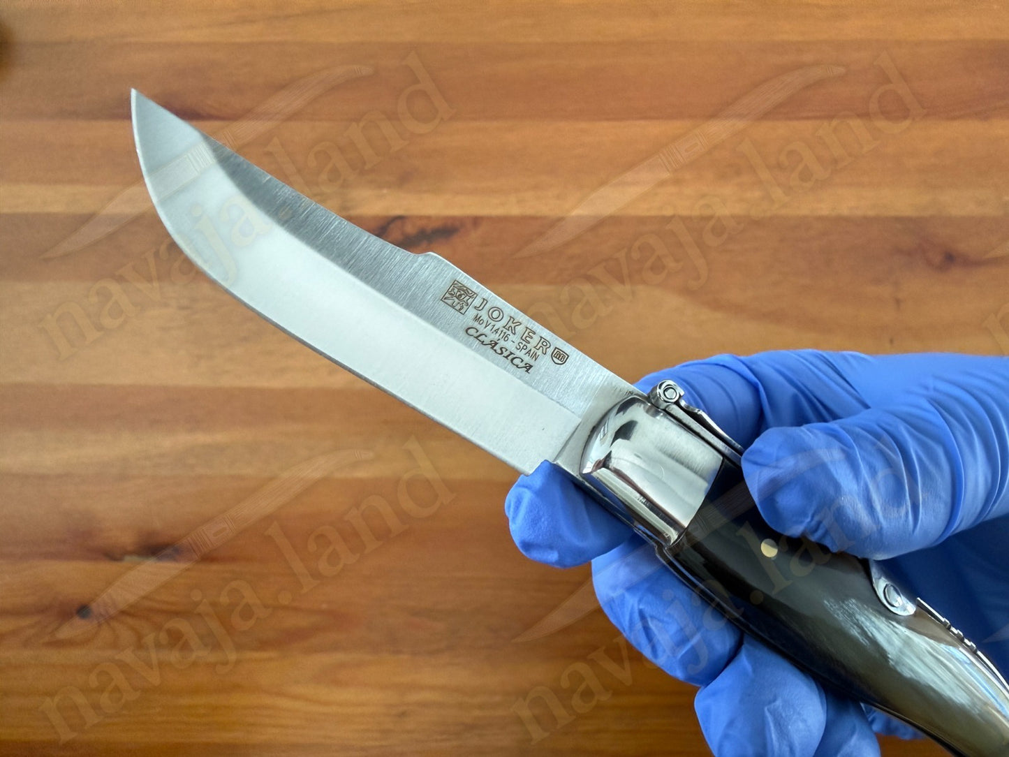 3.2” Joker Clásica Folding Knife Bull Horn Handle MOVA 1.4116 Stainless Steel