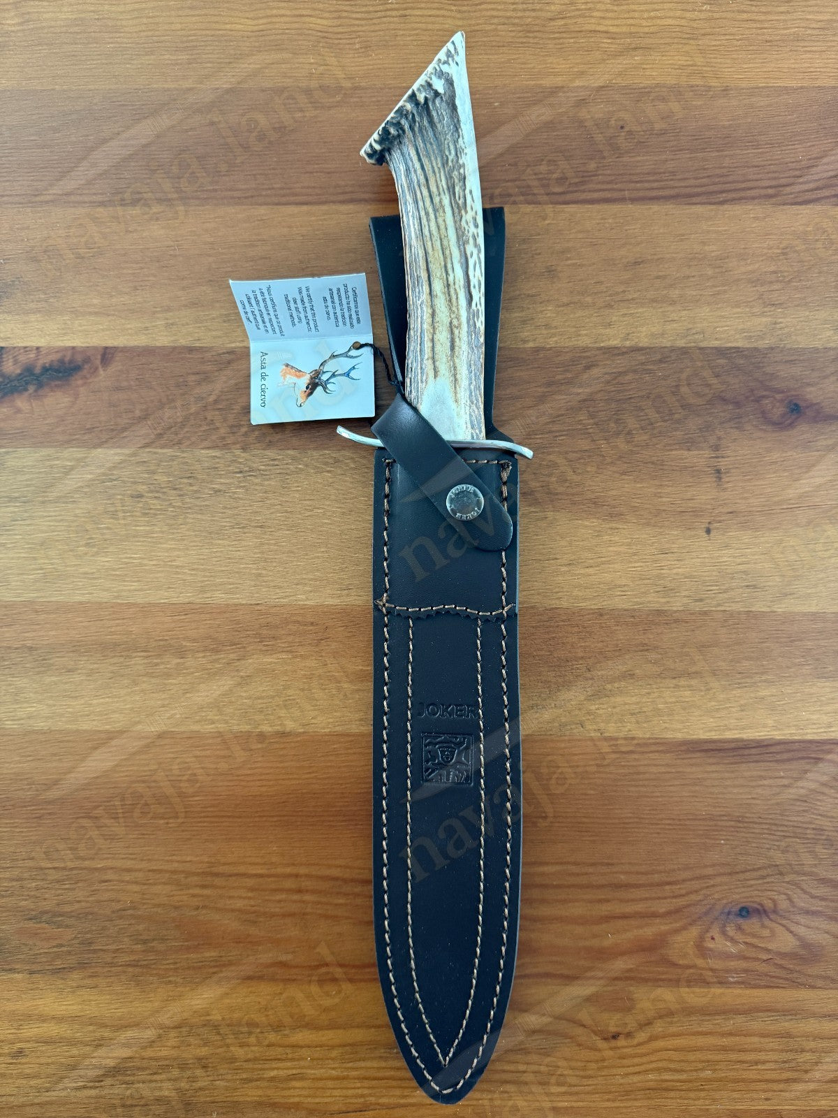 Joker Chamois Hunting Knife 10” MOVA Blade | Deer Antler Handle | Made in Spain
