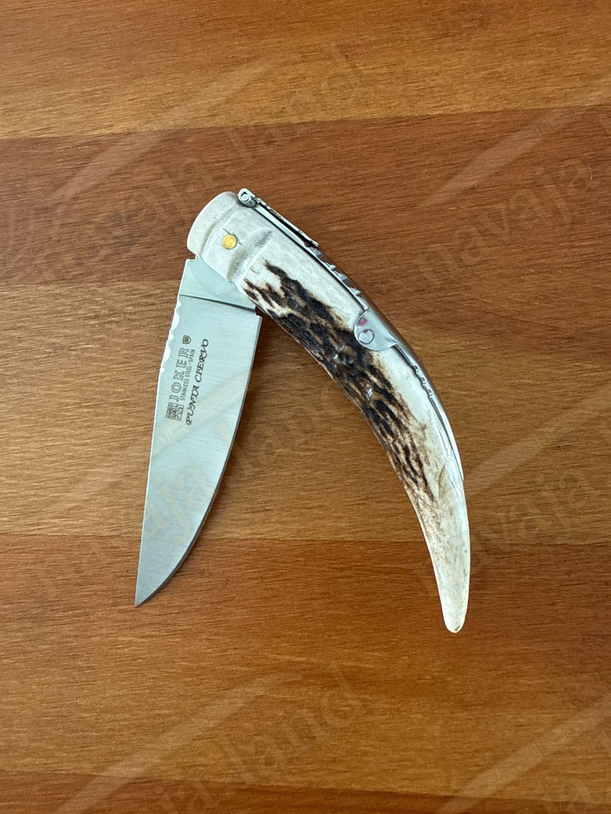 Joker Punta Ciervo Folding Knife Deer Antler Handle 3.3" MOVA Steel From Spain