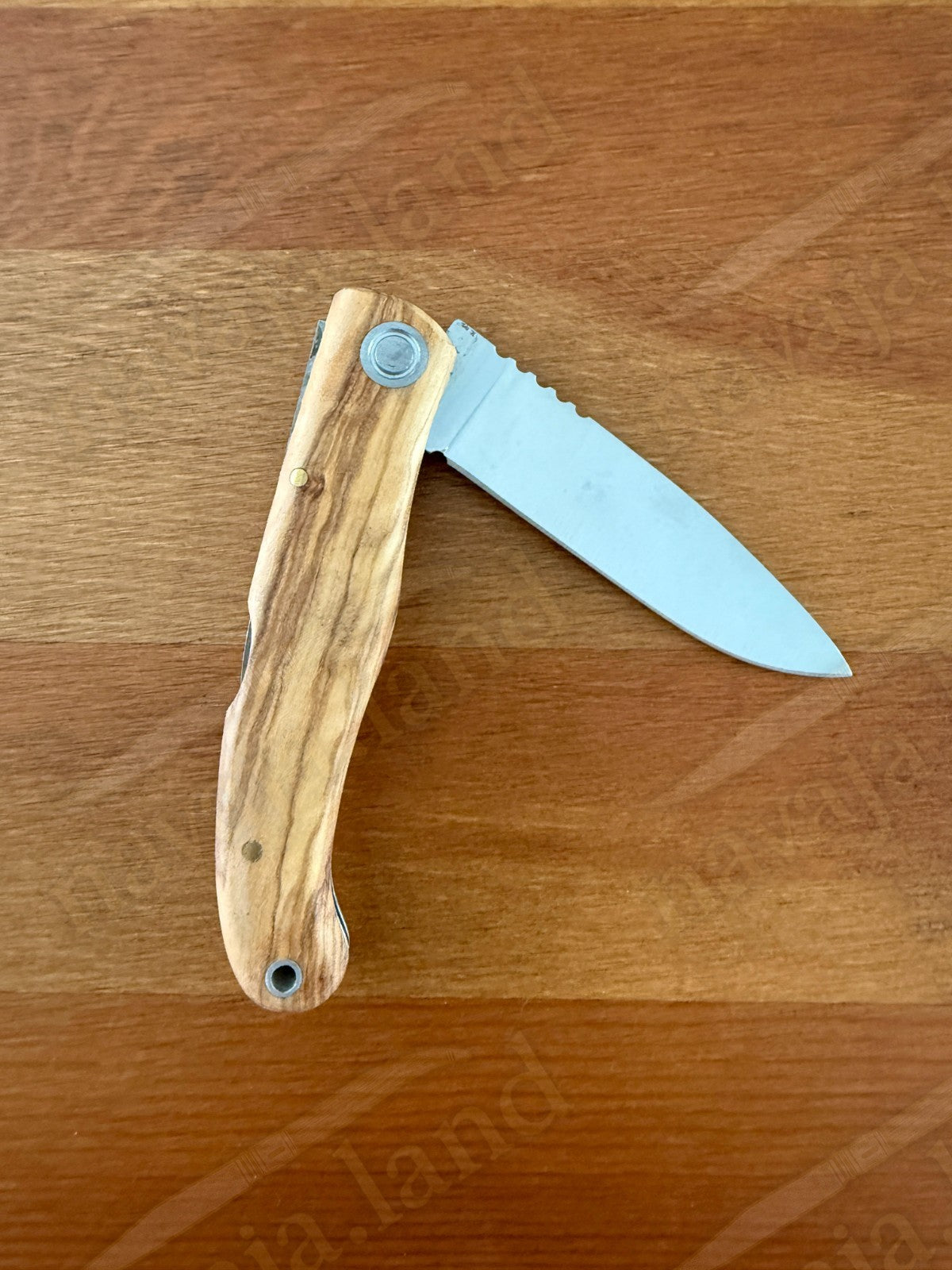 Joker Koala Pocket Knife 3.14” MOVA Blade Olive Wood Handle Handmade in Spain
