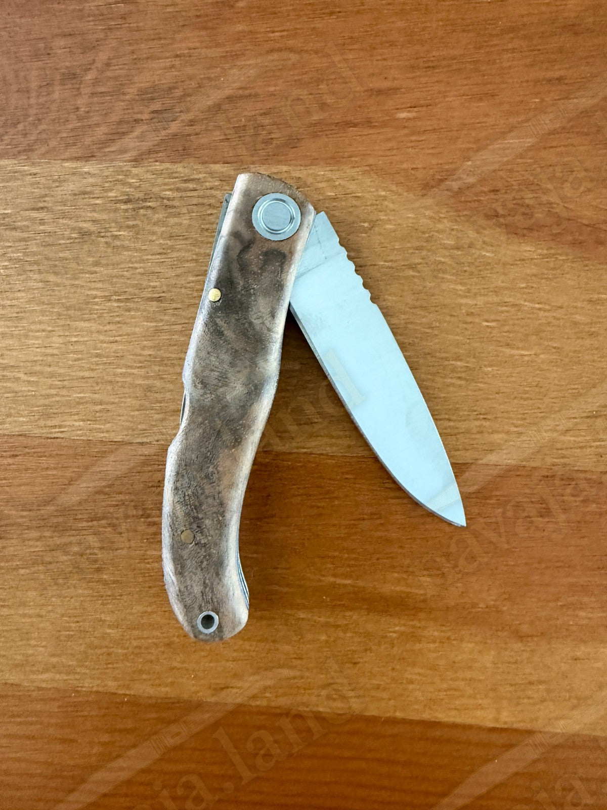 Joker Koala Pocket Knife 2.75” MOVA Blade Walnut Wood Handle Handmade in Spain