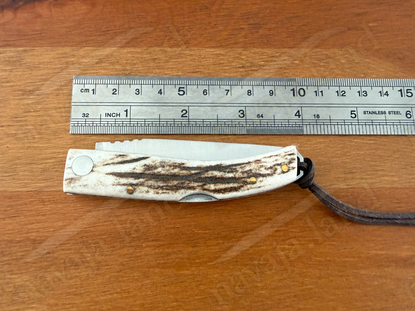 Joker Ibérica Folding Knife 🦌 Deer Horn Handle 3” MOVA 1.4116 Stainless Steel